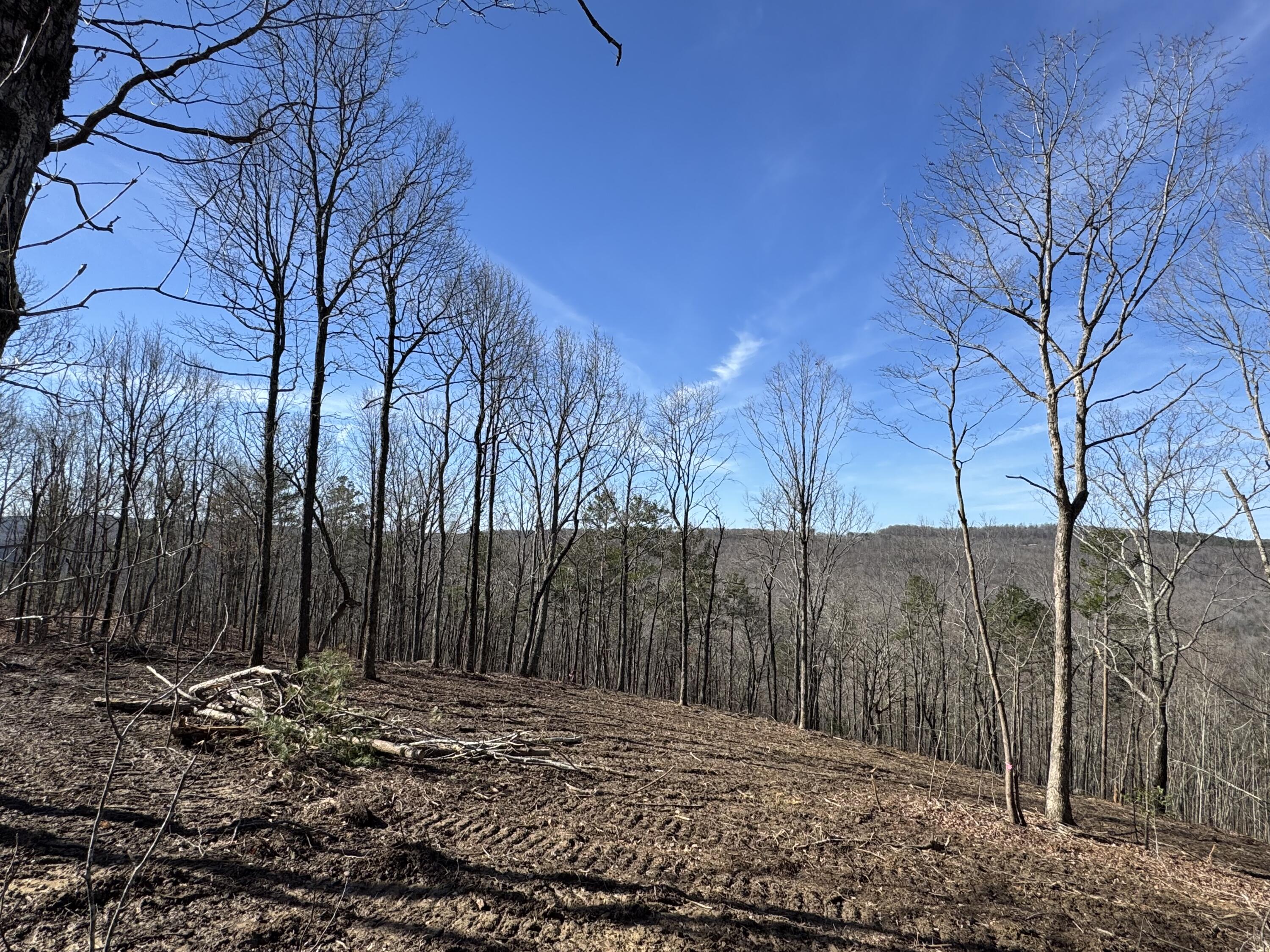 0 Hobbstown Road, Unit LOT 7 Dunlap, TN 37327 - Photo 16 of 47 IMG_6693