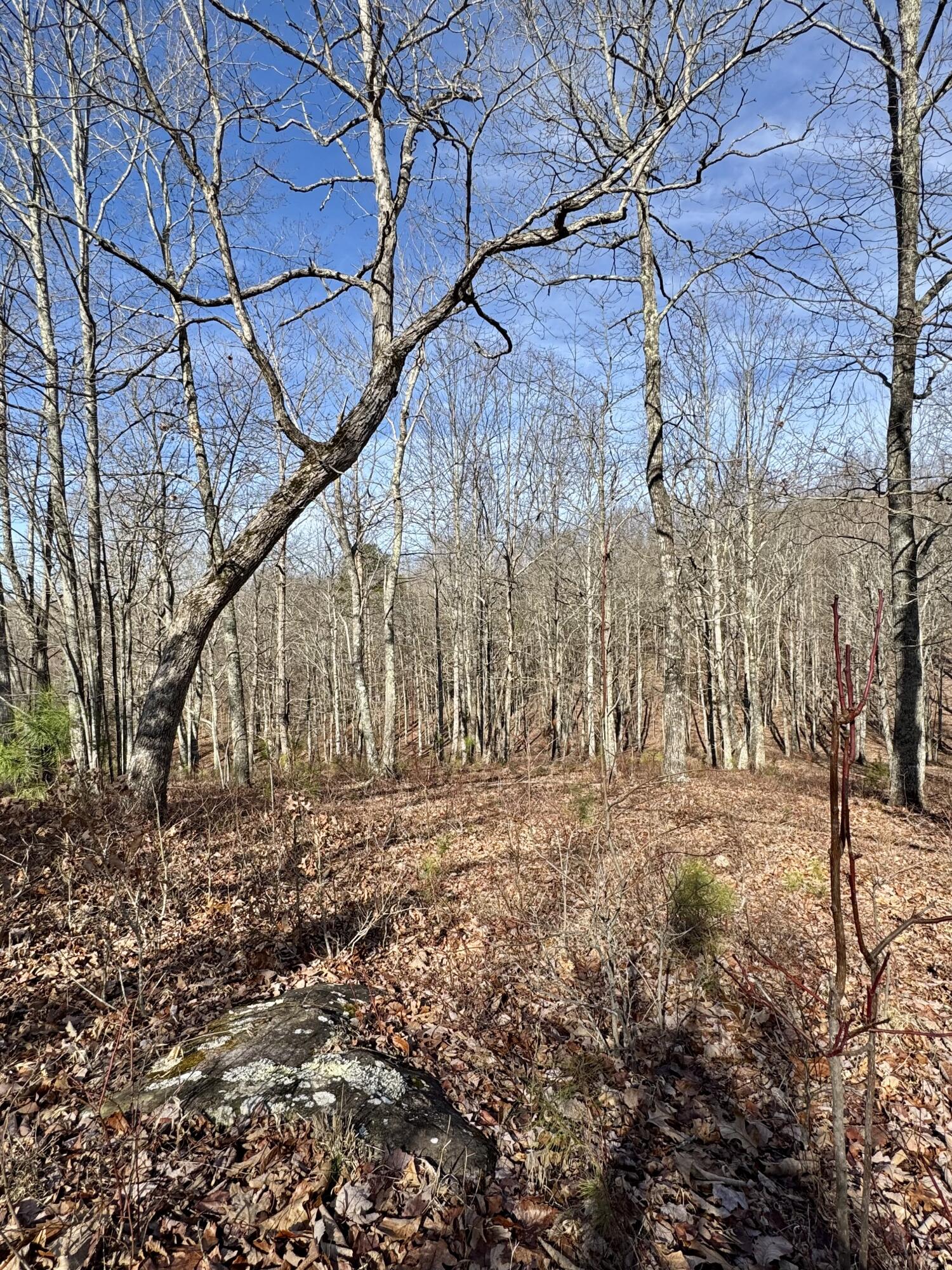 0 Hobbstown Road, Unit LOT 7 Dunlap, TN 37327 - Photo 17 of 47 IMG_6683