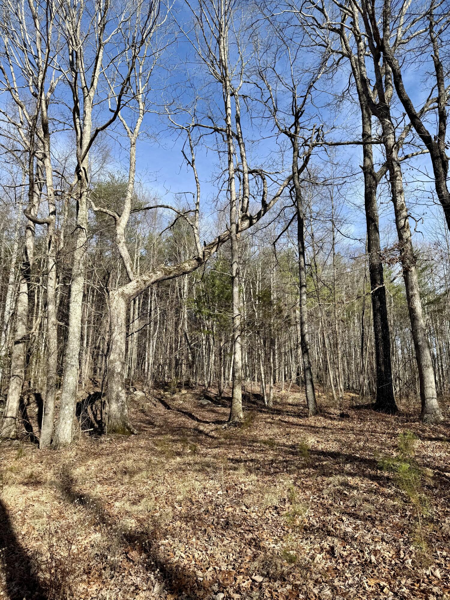 0 Hobbstown Road, Unit LOT 7 Dunlap, TN 37327 - Photo 18 of 47 IMG_6675