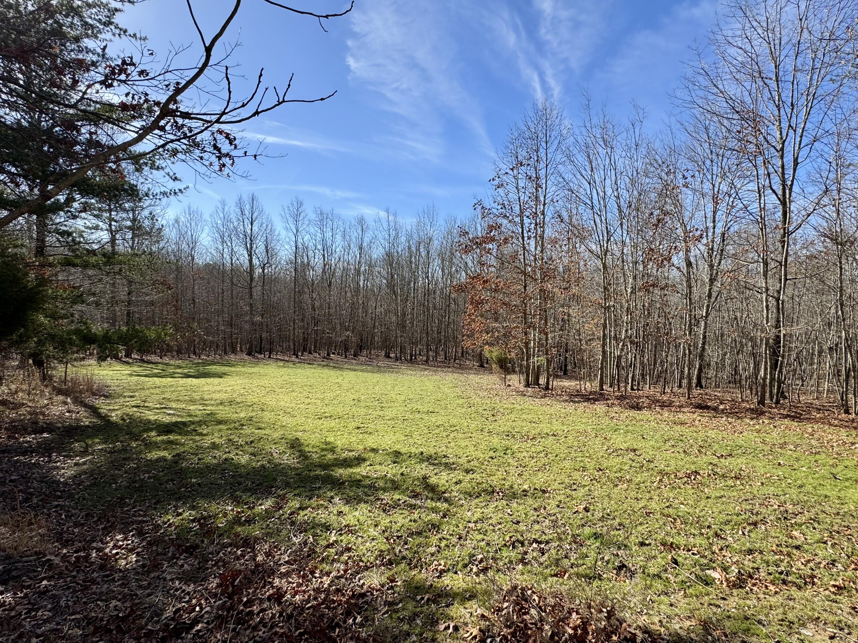 0 Hobbstown Road, Unit LOT 7 Dunlap, TN 37327 - Photo 19 of 47 IMG_6690