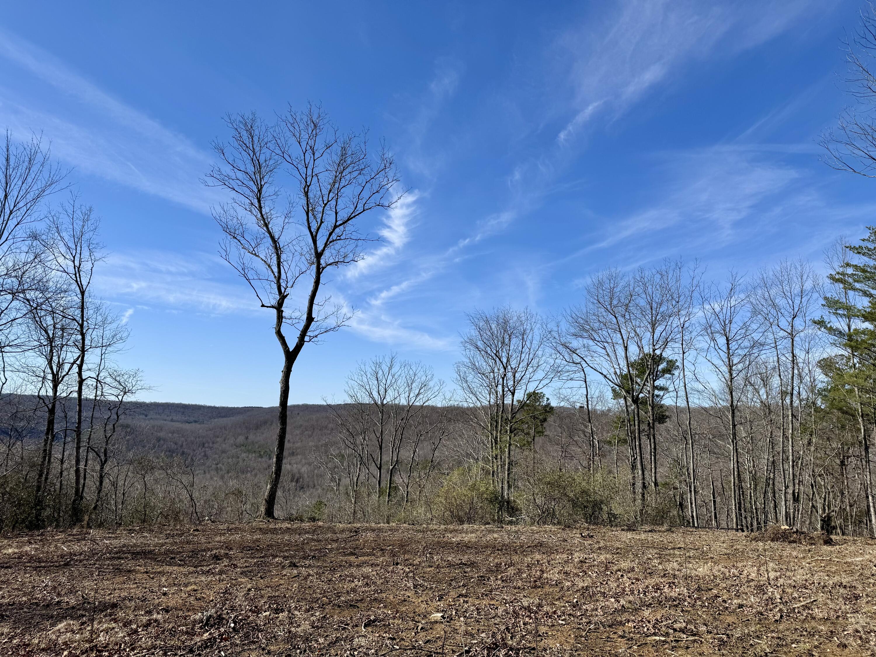 0 Hobbstown Road, Unit LOT 7 Dunlap, TN 37327 - Photo 2 of 47 IMG_6695