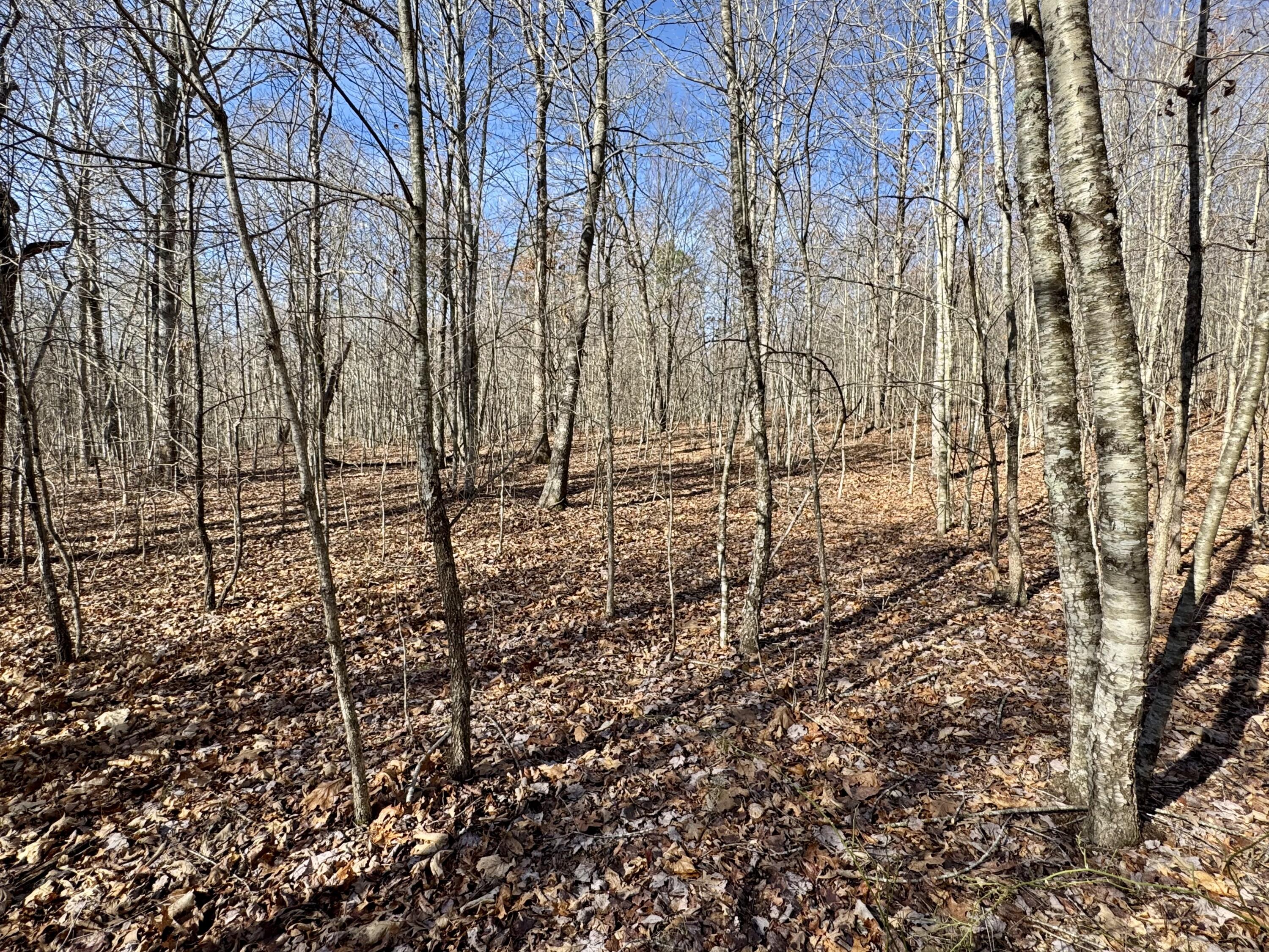 0 Hobbstown Road, Unit LOT 7 Dunlap, TN 37327 - Photo 22 of 47 IMG_6688