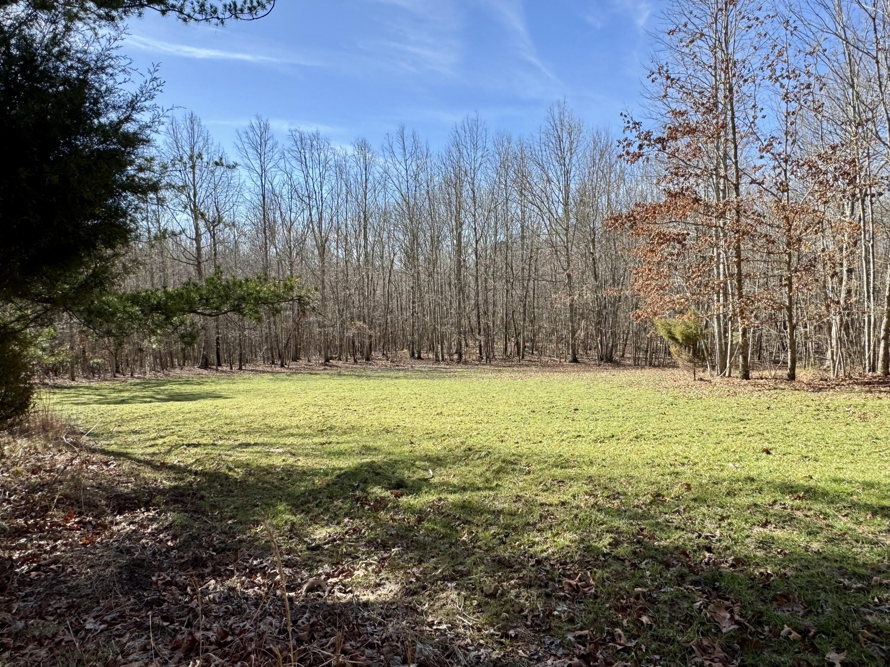 0 Hobbstown Road, Unit LOT 7 Dunlap, TN 37327 - Photo 23 of 47 IMG_6689