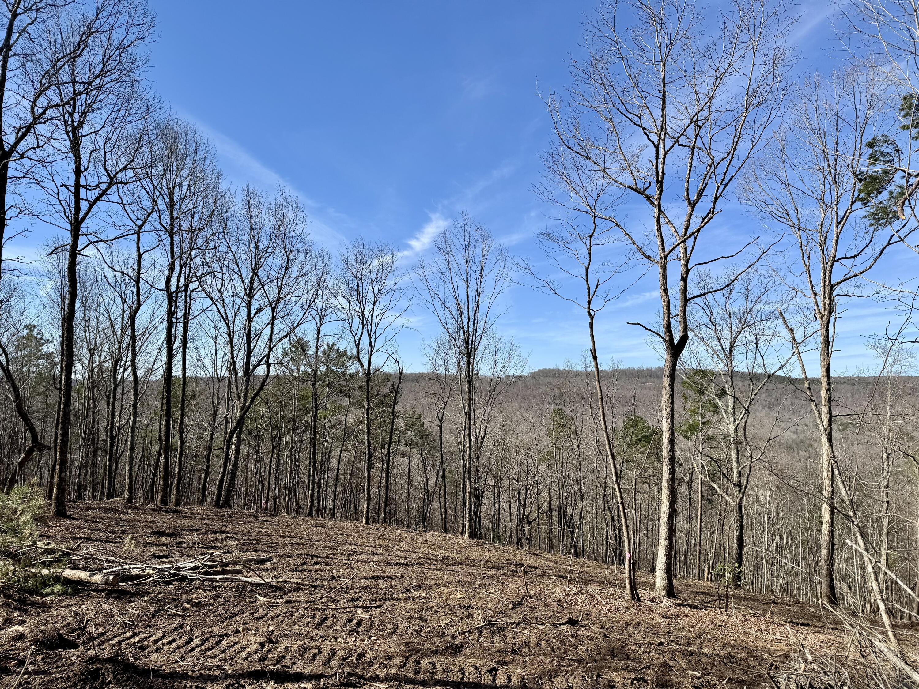 0 Hobbstown Road, Unit LOT 7 Dunlap, TN 37327 - Photo 25 of 47 IMG_6692