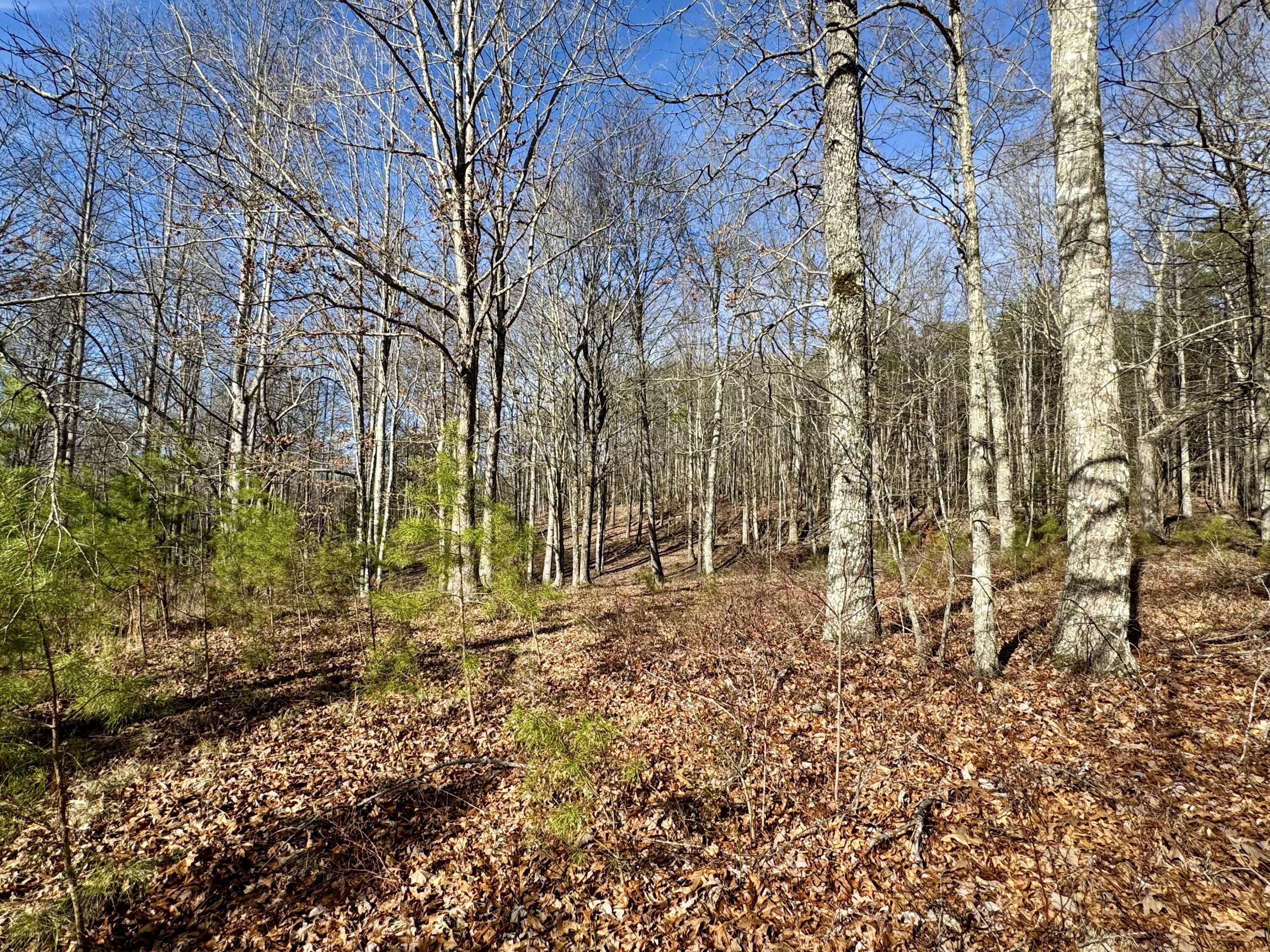 0 Hobbstown Road, Unit LOT 7 Dunlap, TN 37327 - Photo 26 of 47 IMG_6674