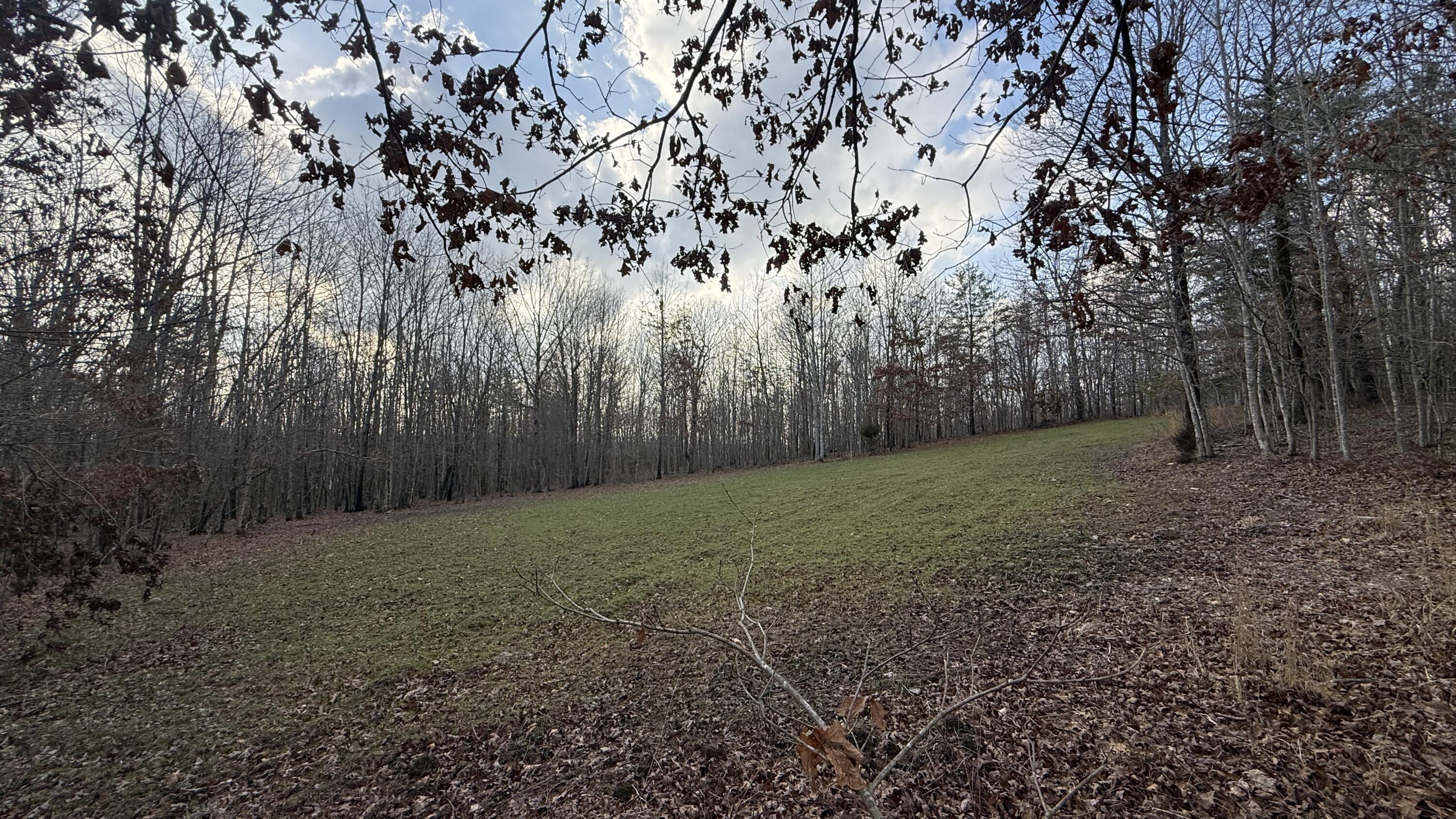 0 Hobbstown Road, Unit LOT 7 Dunlap, TN 37327 - Photo 29 of 47 IMG_4269