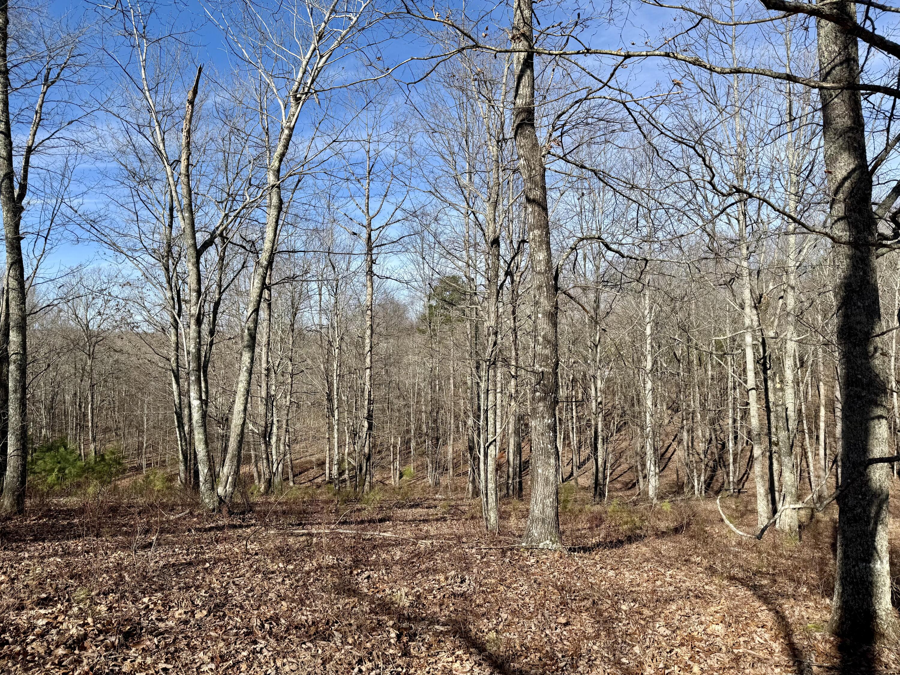 0 Hobbstown Road, Unit LOT 7 Dunlap, TN 37327 - Photo 30 of 47 IMG_6682