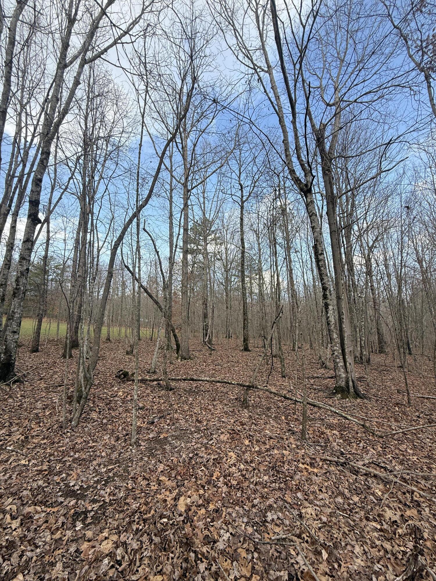 0 Hobbstown Road, Unit LOT 7 Dunlap, TN 37327 - Photo 31 of 47 IMG_4265