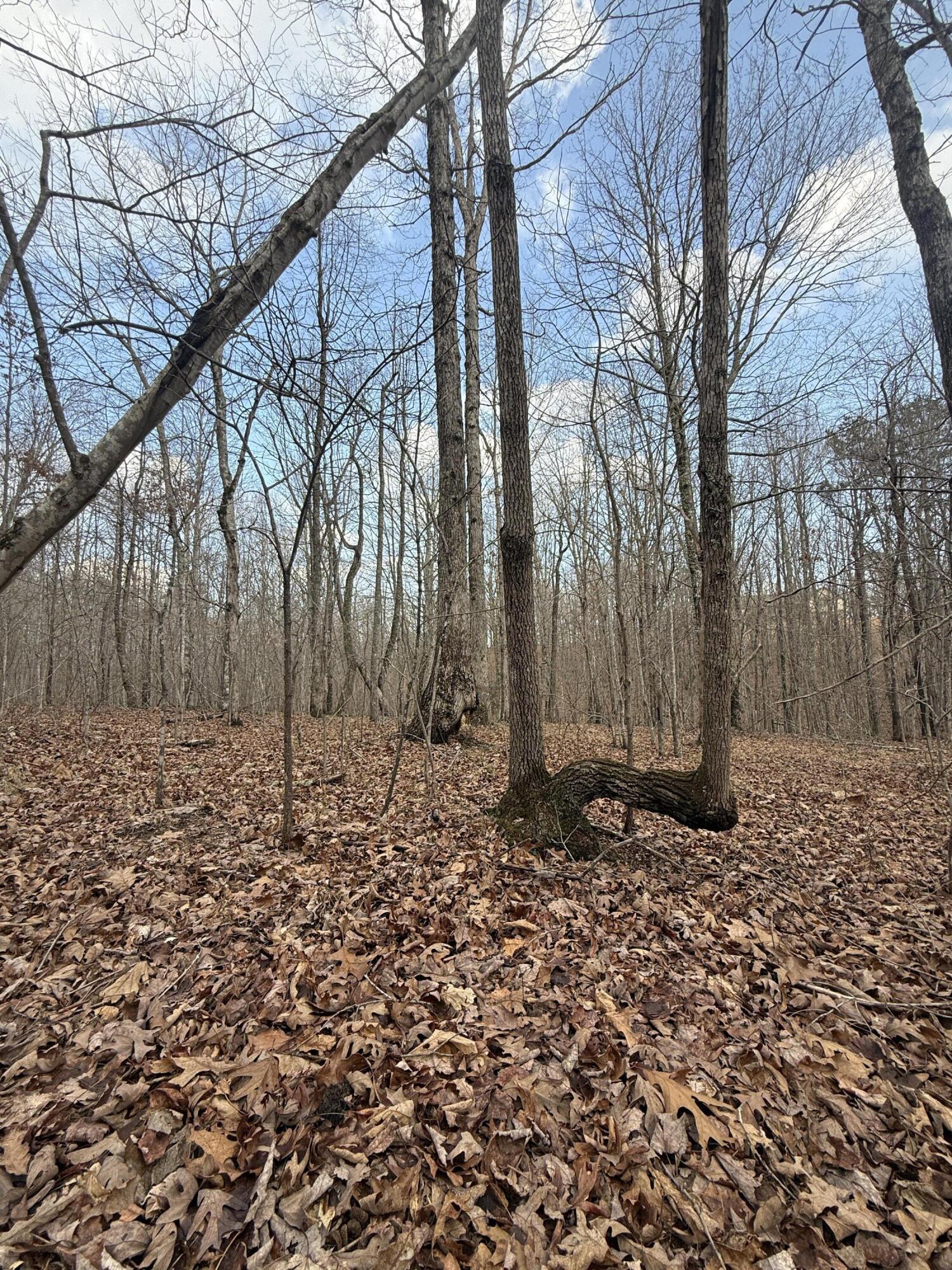 0 Hobbstown Road, Unit LOT 7 Dunlap, TN 37327 - Photo 32 of 47 IMG_4267