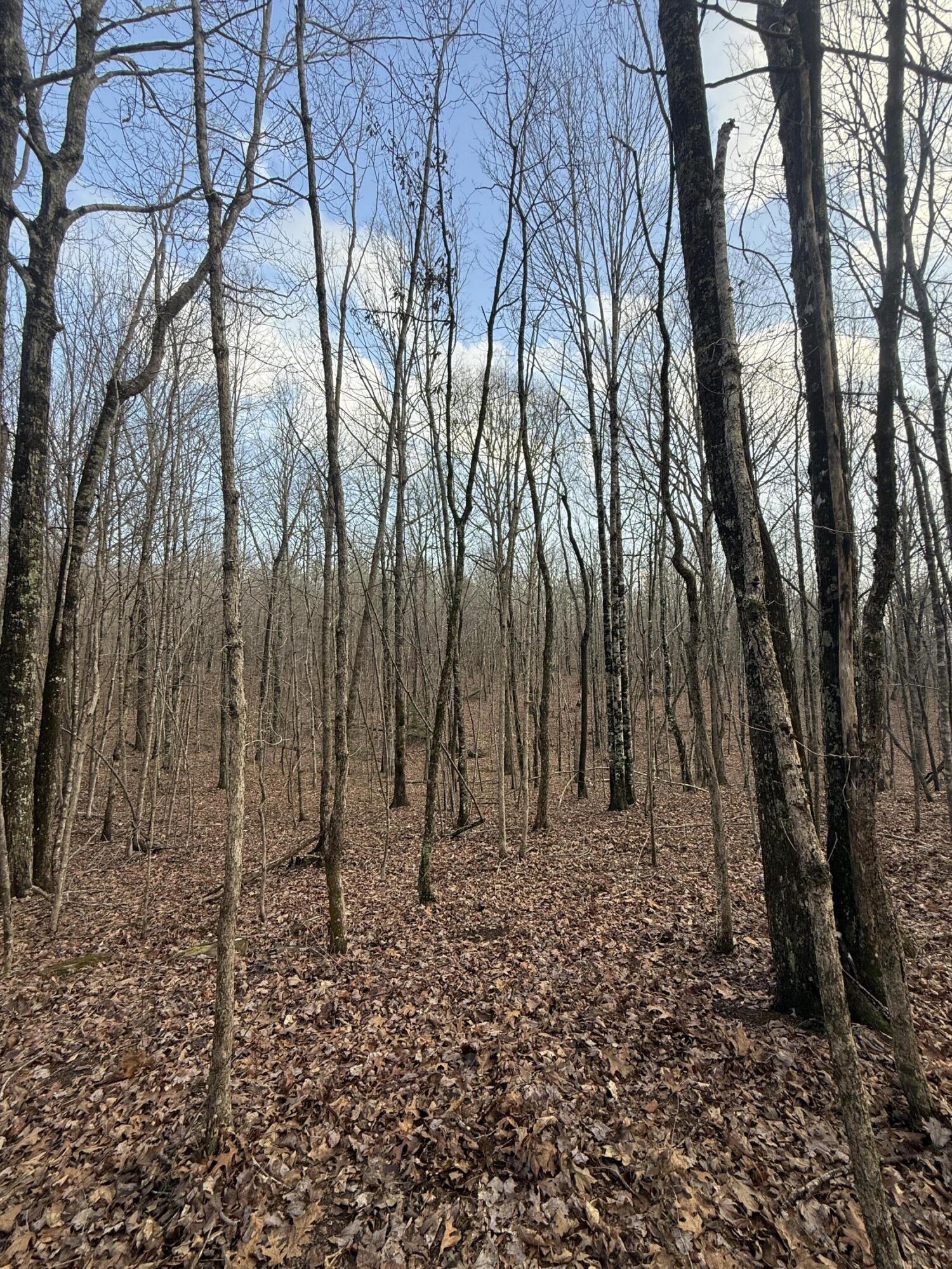 0 Hobbstown Road, Unit LOT 7 Dunlap, TN 37327 - Photo 34 of 47 IMG_4262