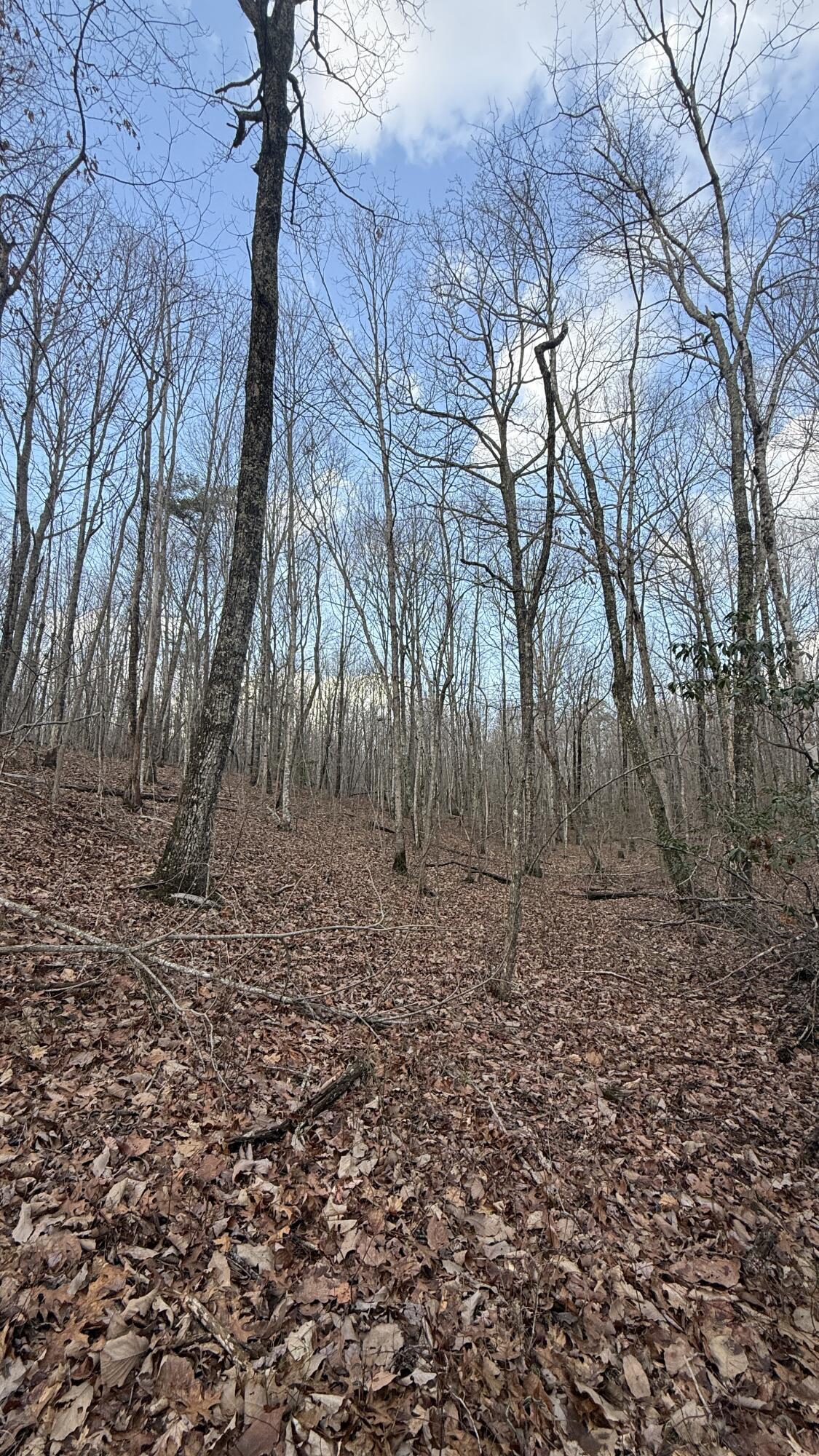 0 Hobbstown Road, Unit LOT 7 Dunlap, TN 37327 - Photo 36 of 47 IMG_4255