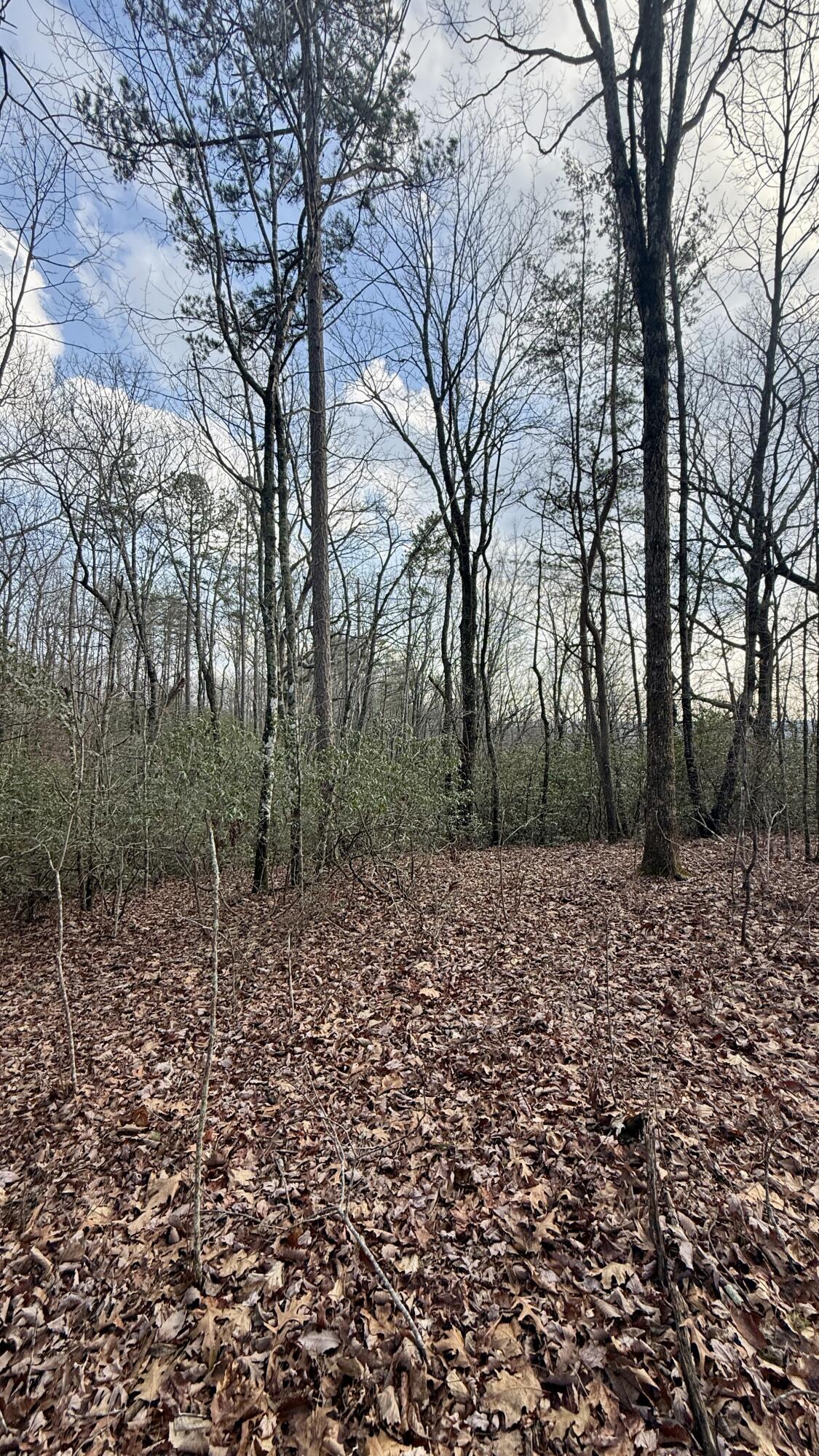 0 Hobbstown Road, Unit LOT 7 Dunlap, TN 37327 - Photo 38 of 47 IMG_4250