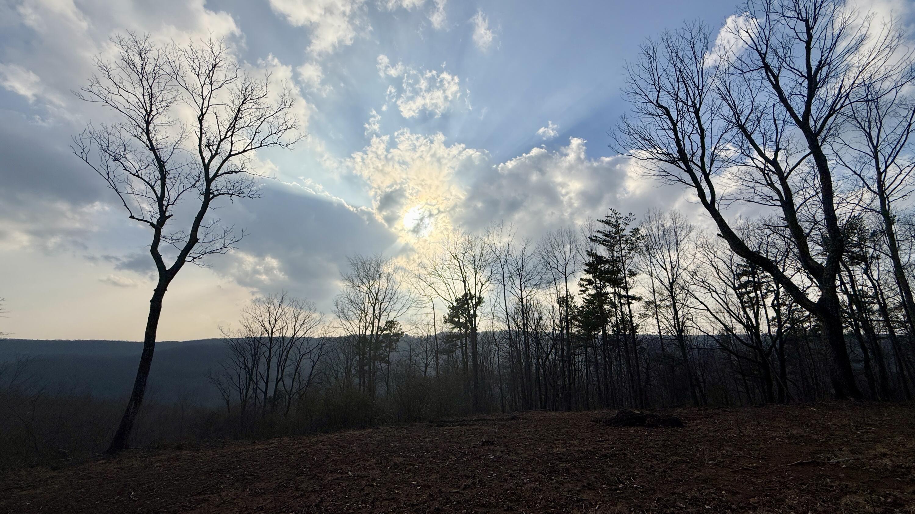 0 Hobbstown Road, Unit LOT 7 Dunlap, TN 37327 - Photo 39 of 47 IMG_4249