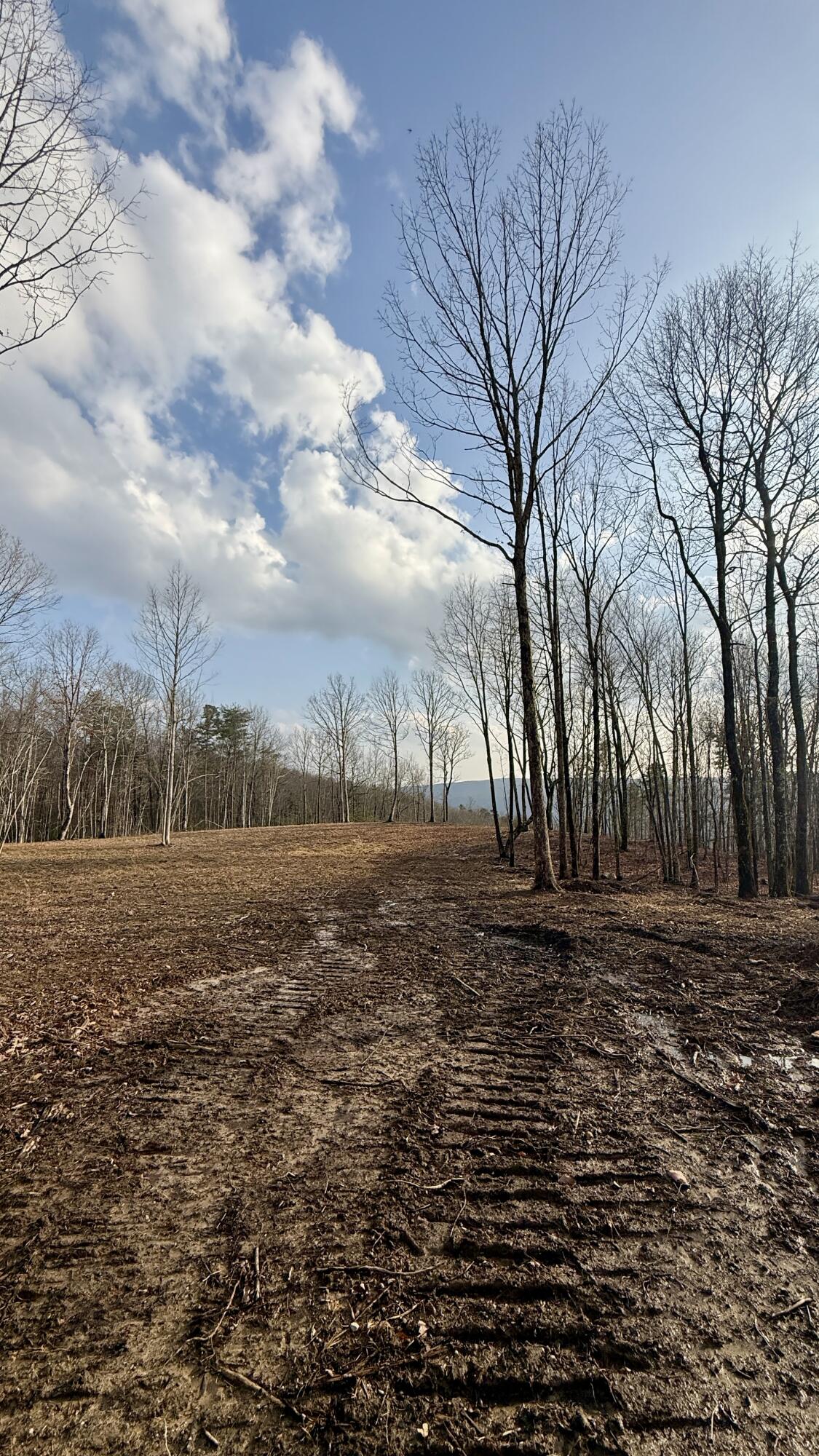 0 Hobbstown Road, Unit LOT 7 Dunlap, TN 37327 - Photo 40 of 47 IMG_4240