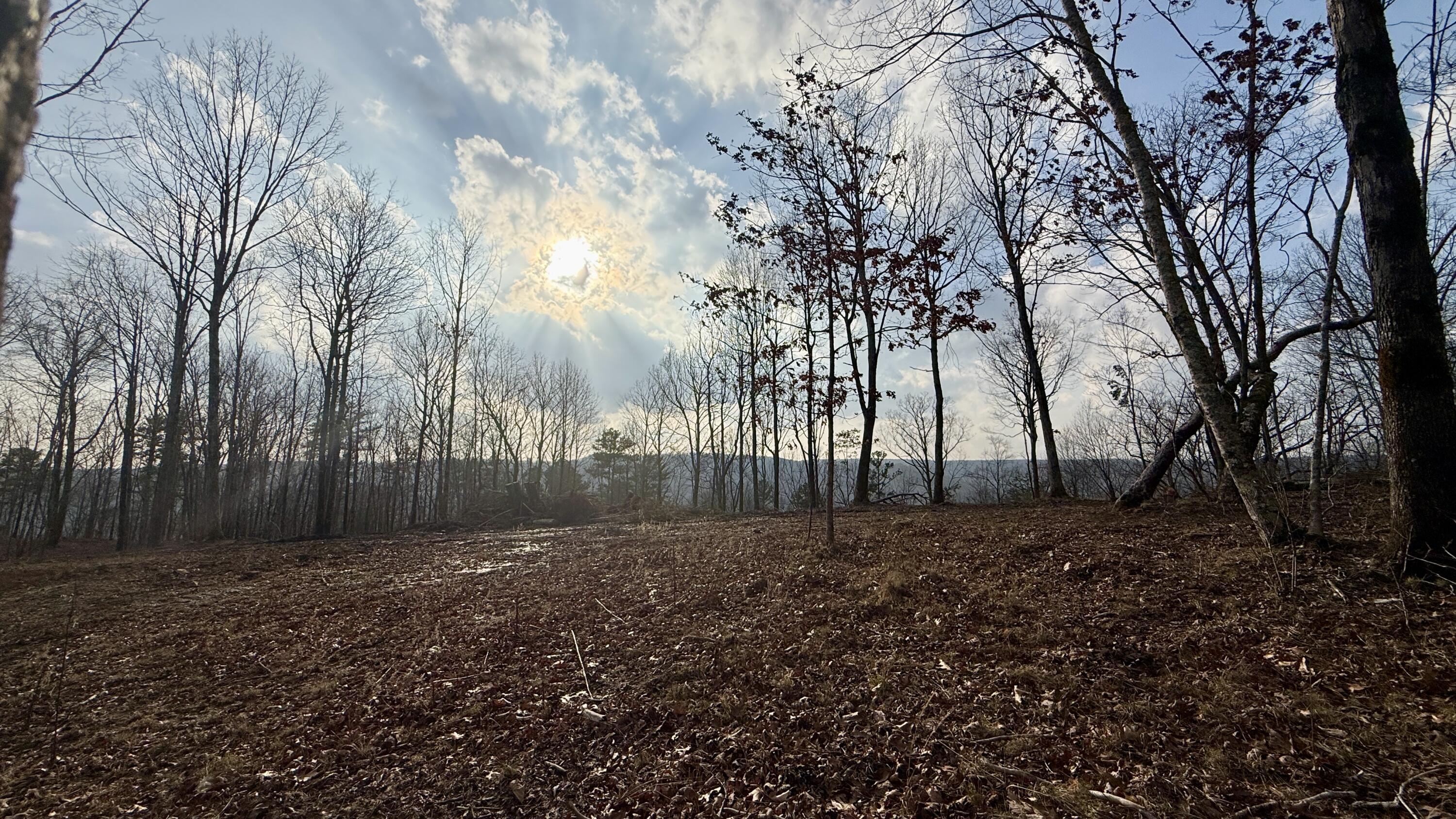 0 Hobbstown Road, Unit LOT 7 Dunlap, TN 37327 - Photo 4 of 47 IMG_4239