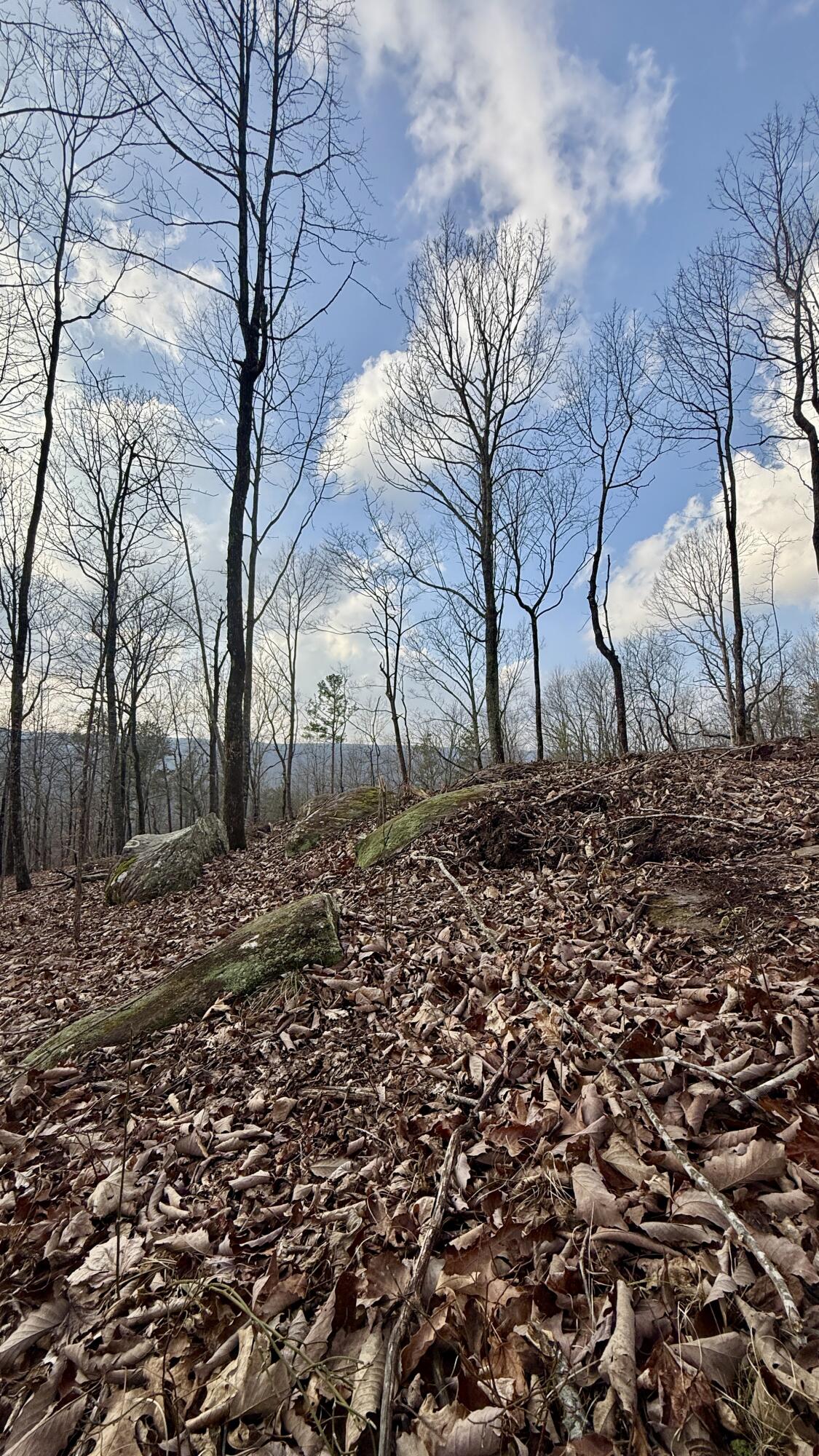 0 Hobbstown Road, Unit LOT 7 Dunlap, TN 37327 - Photo 41 of 47 IMG_4241