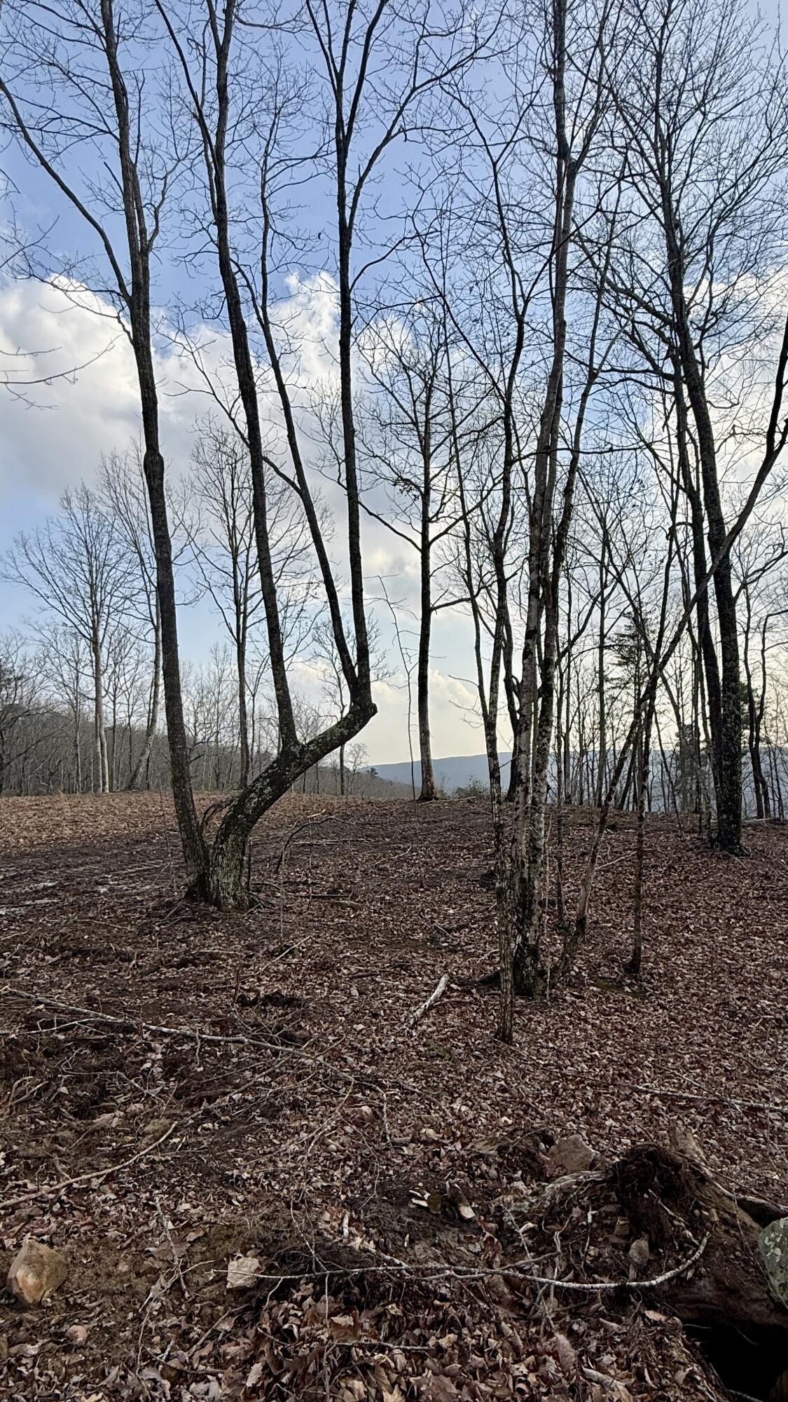 0 Hobbstown Road, Unit LOT 7 Dunlap, TN 37327 - Photo 43 of 47 IMG_4243