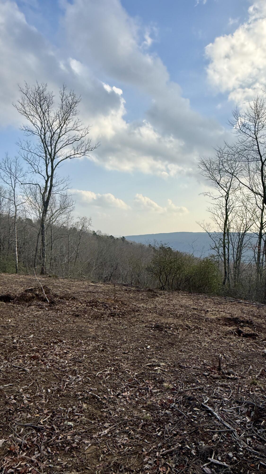 0 Hobbstown Road, Unit LOT 7 Dunlap, TN 37327 - Photo 44 of 47 IMG_4244