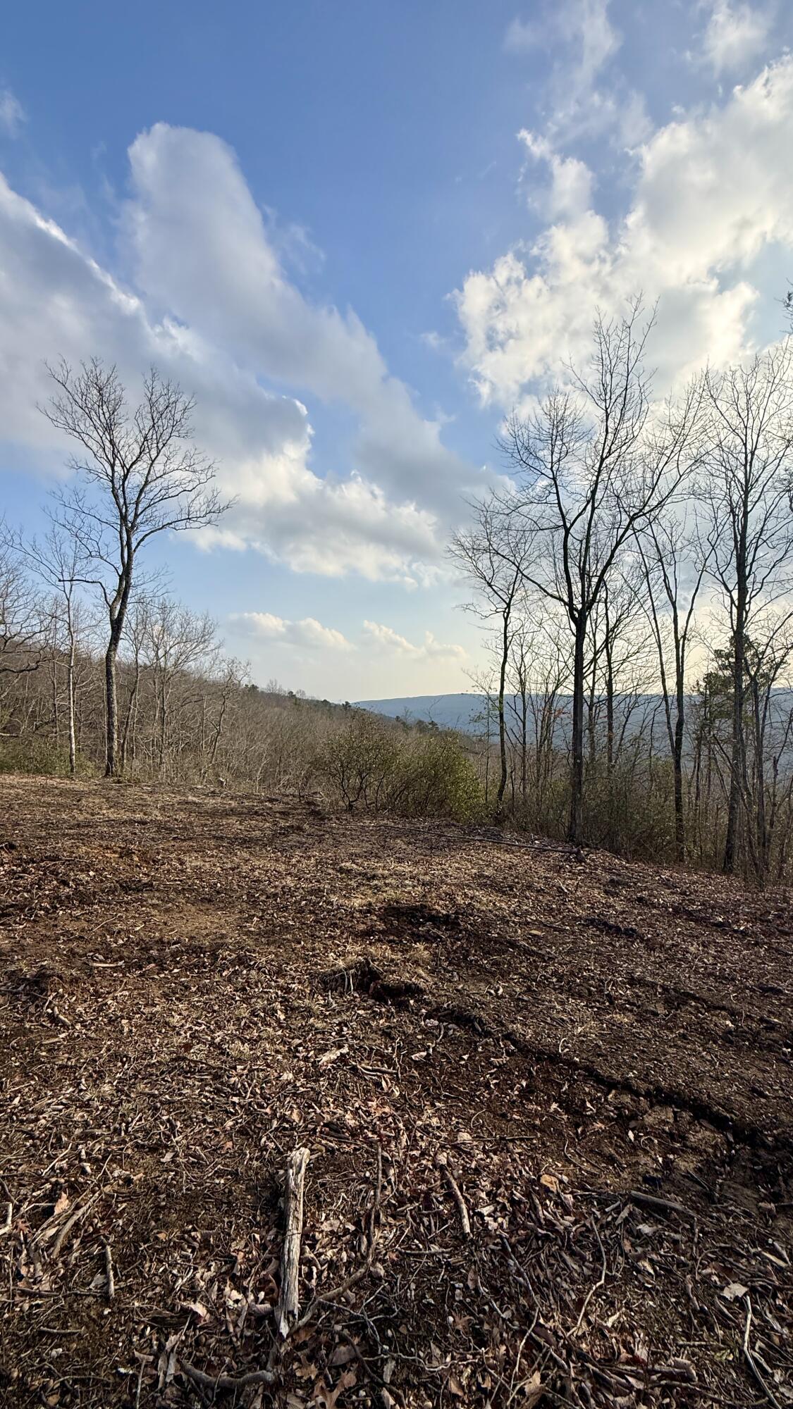 0 Hobbstown Road, Unit LOT 7 Dunlap, TN 37327 - Photo 45 of 47 IMG_4245