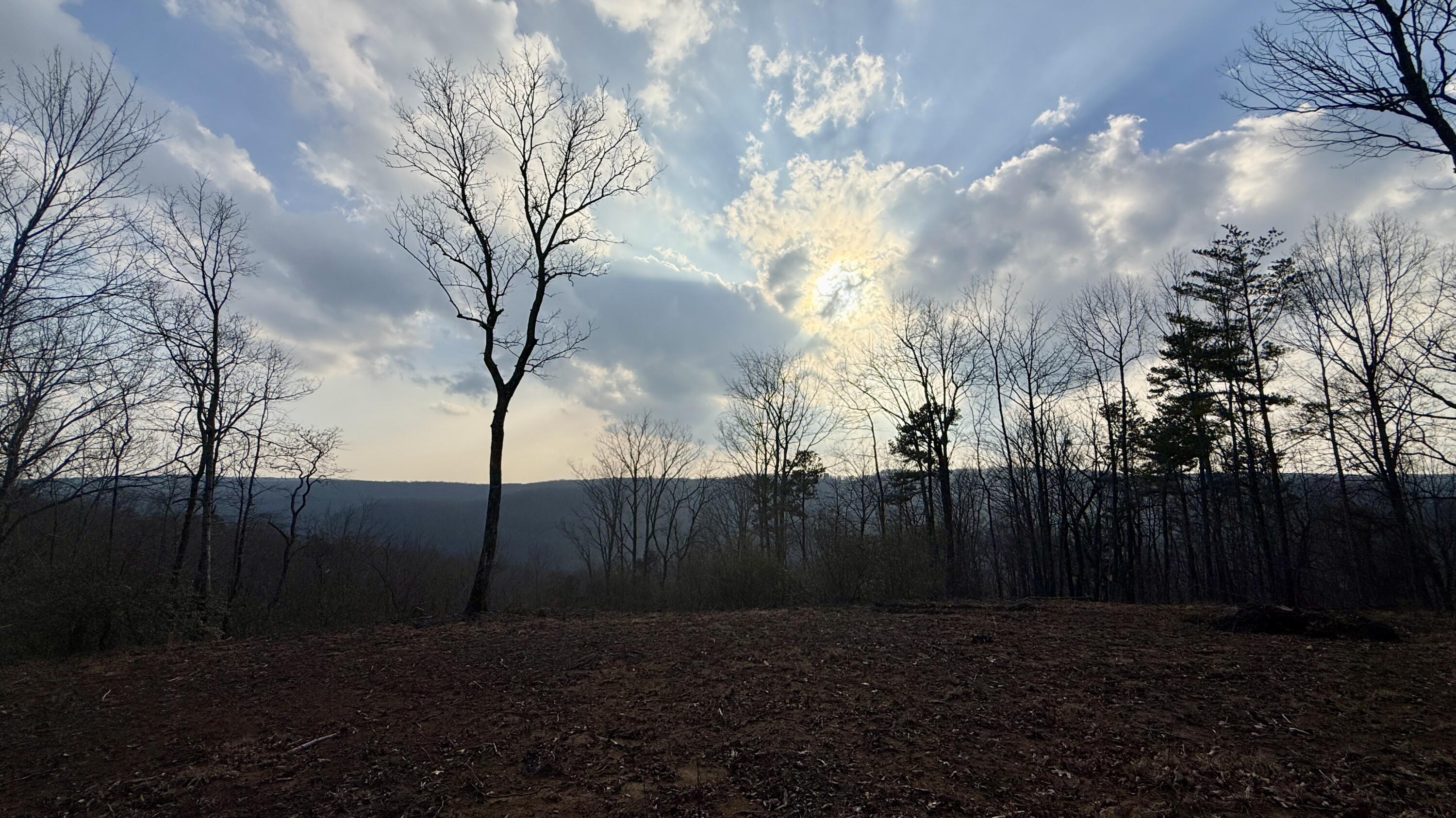 0 Hobbstown Road, Unit LOT 7 Dunlap, TN 37327 - Photo 46 of 47 IMG_4247