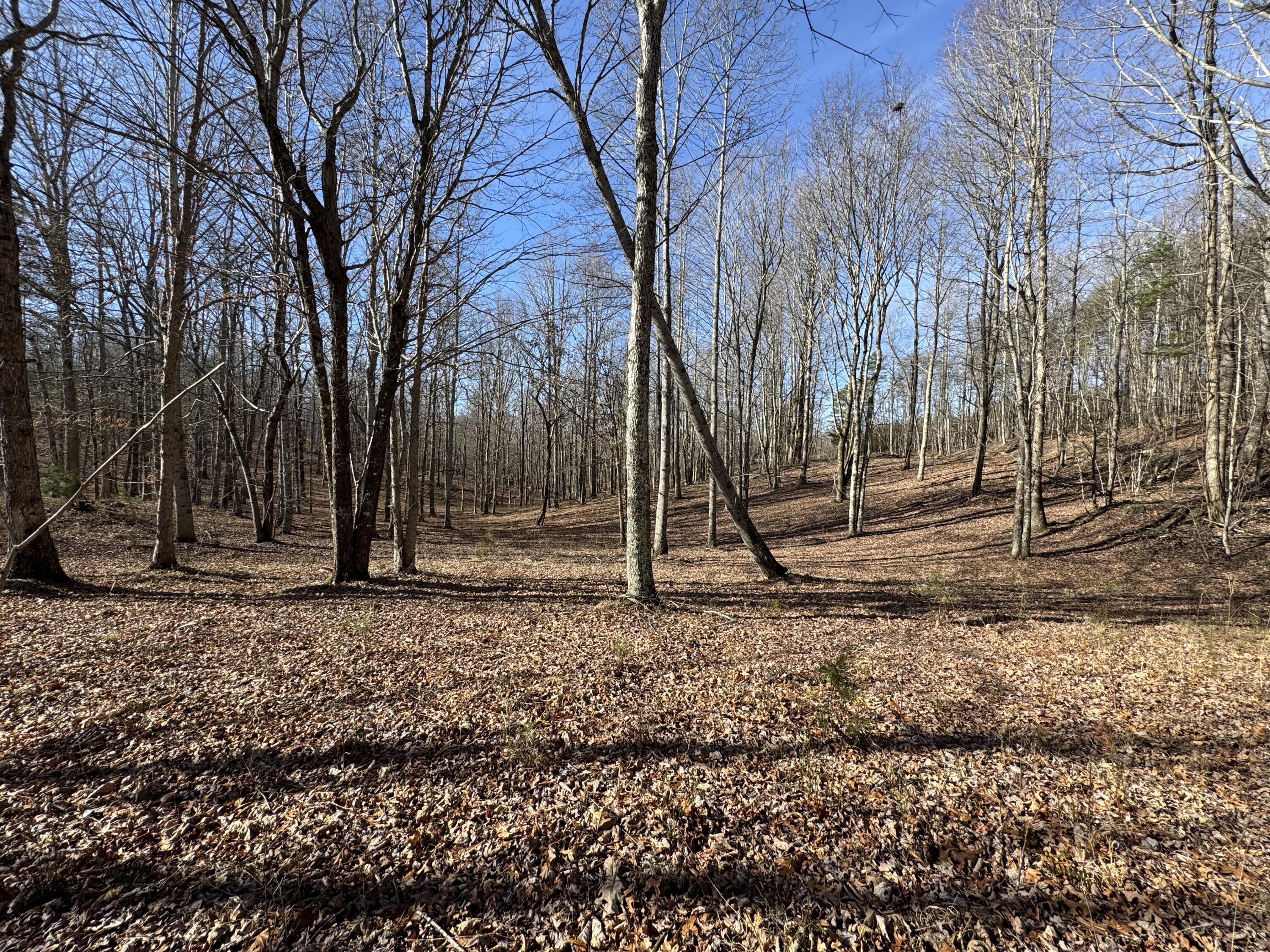 0 Hobbstown Road, Unit LOT 7 Dunlap, TN 37327 - Photo 5 of 47 IMG_6676