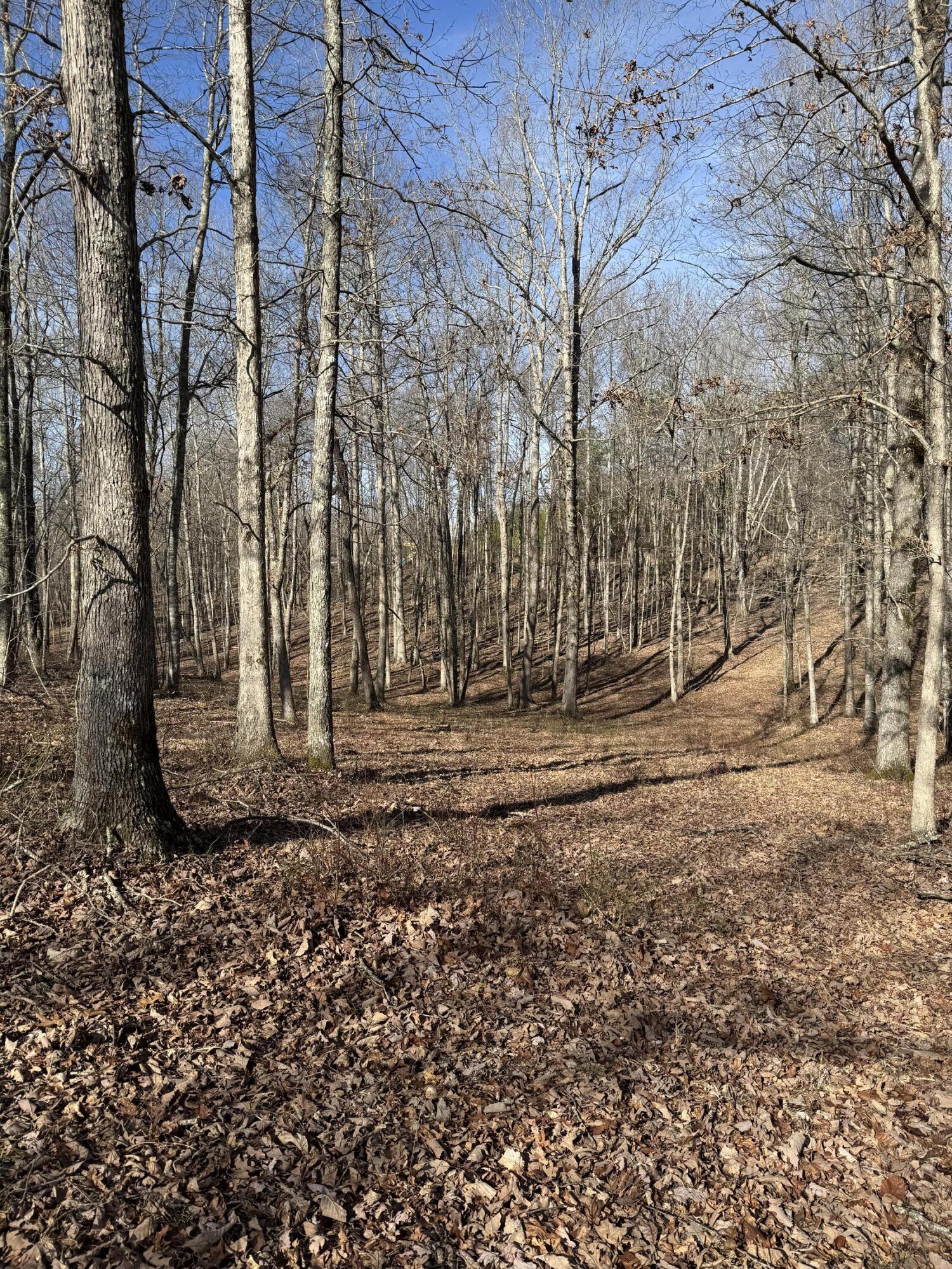 0 Hobbstown Road, Unit LOT 7 Dunlap, TN 37327 - Photo 6 of 47 IMG_6680