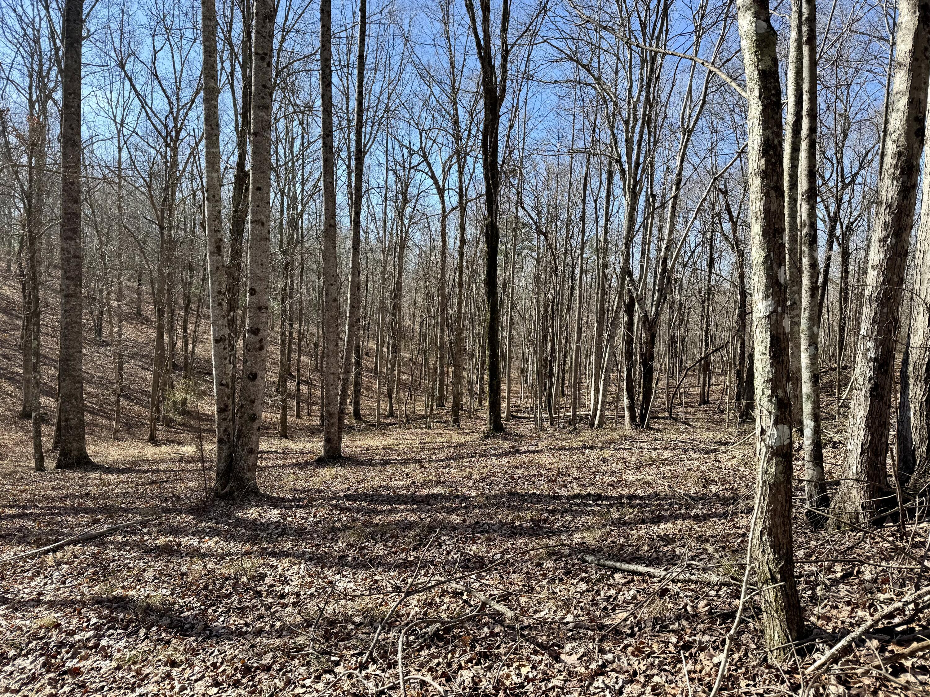 0 Hobbstown Road, Unit LOT 7 Dunlap, TN 37327 - Photo 7 of 47 IMG_6678