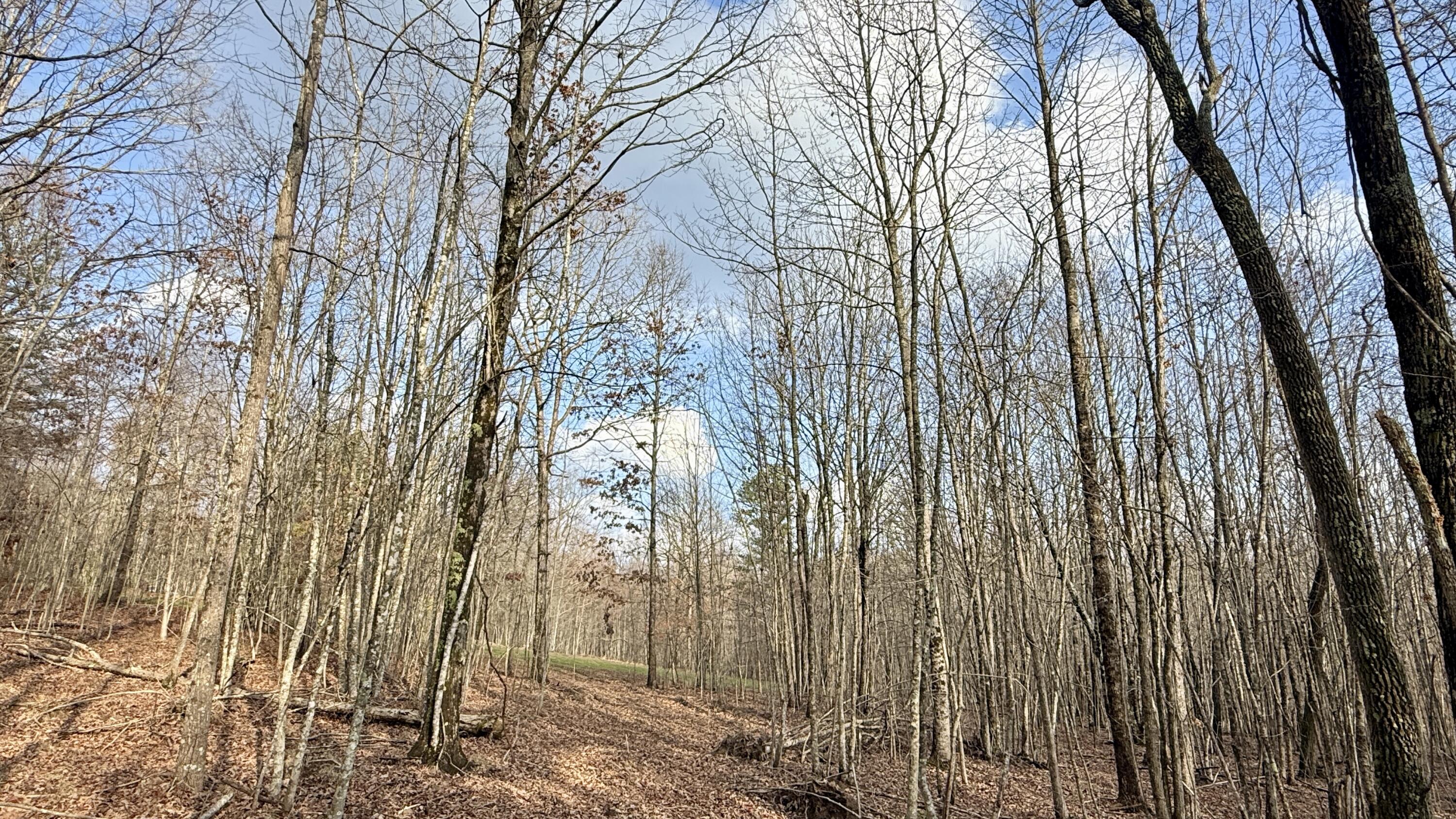 0 Hobbstown Road, Unit LOT 7 Dunlap, TN 37327 - Photo 8 of 47 IMG_4232