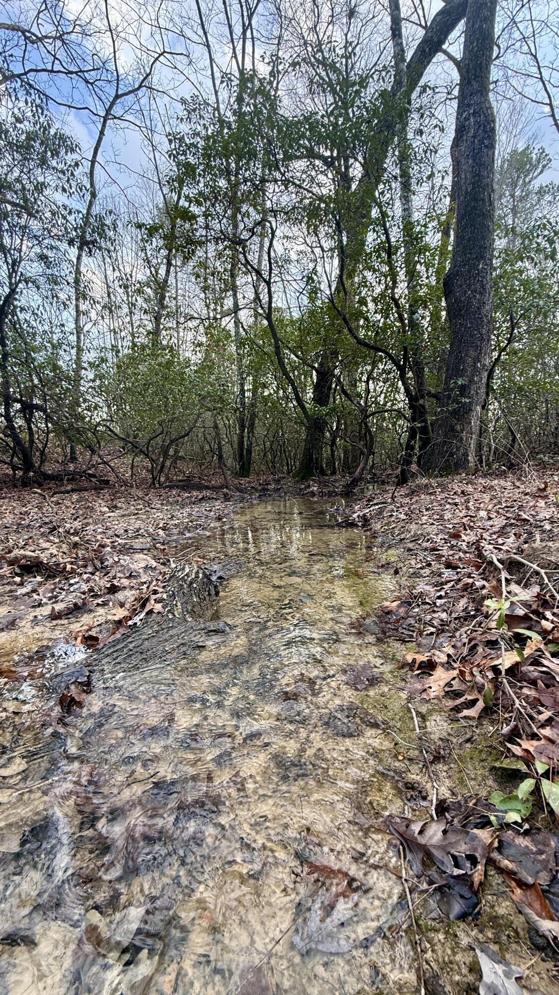 0 Hobbstown Road, Unit LOT 7 Dunlap, TN 37327 - Photo 10 of 47 IMG_4252