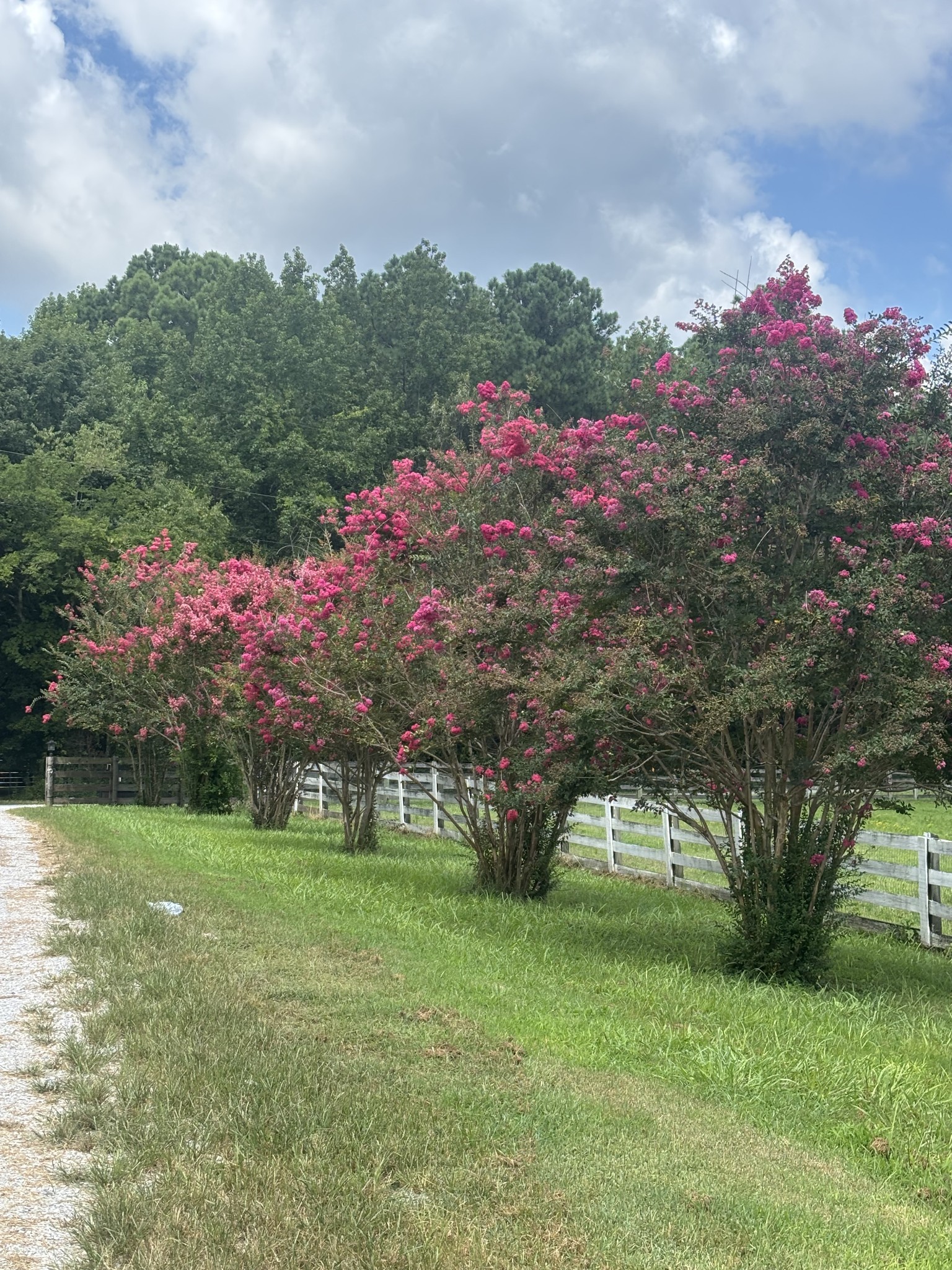 1221 Johnson Branch Road Pulaski, TN 38478 - Photo 69 of 99