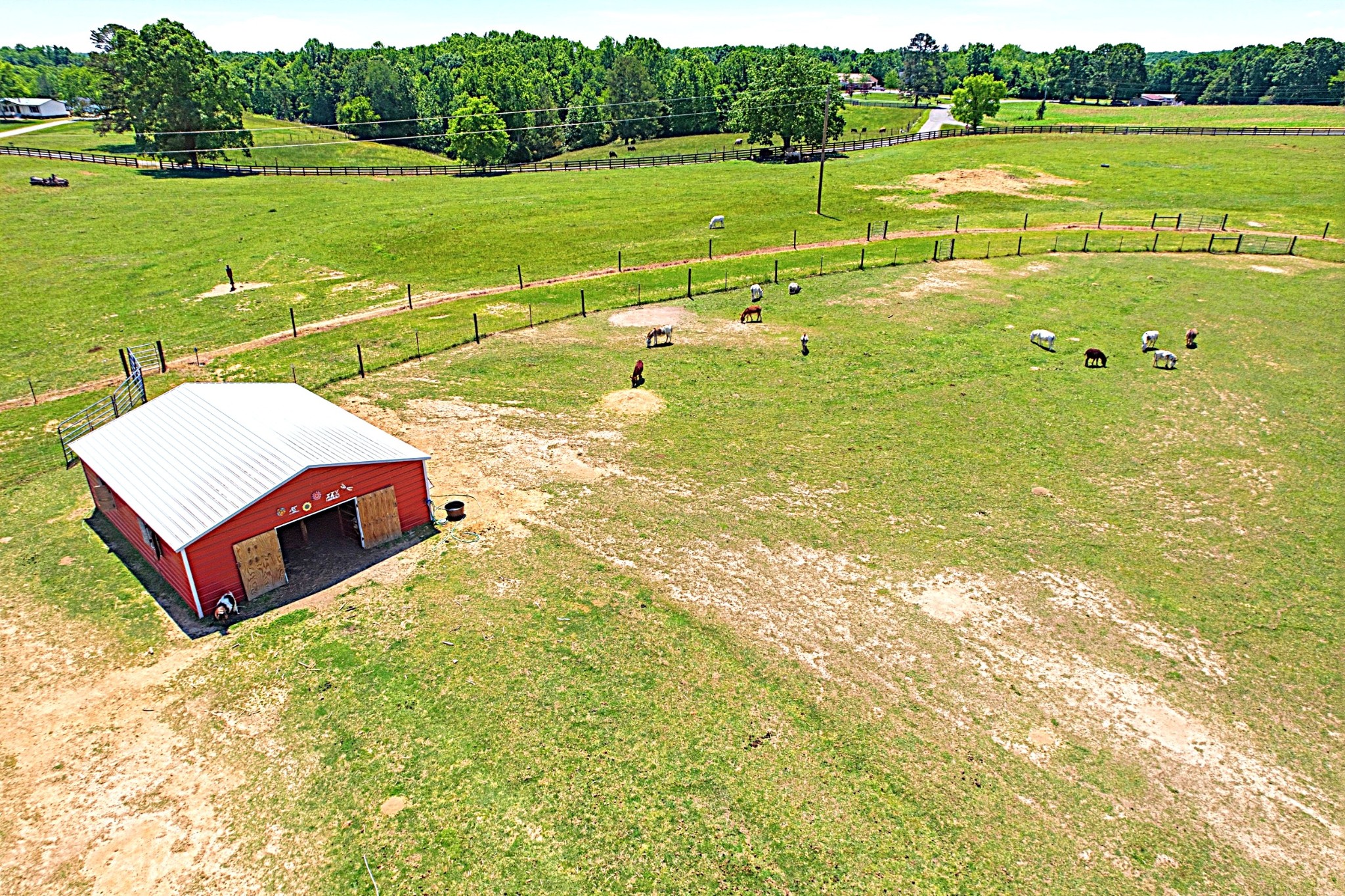 1221 Johnson Branch Road Pulaski, TN 38478 - Photo 80 of 99