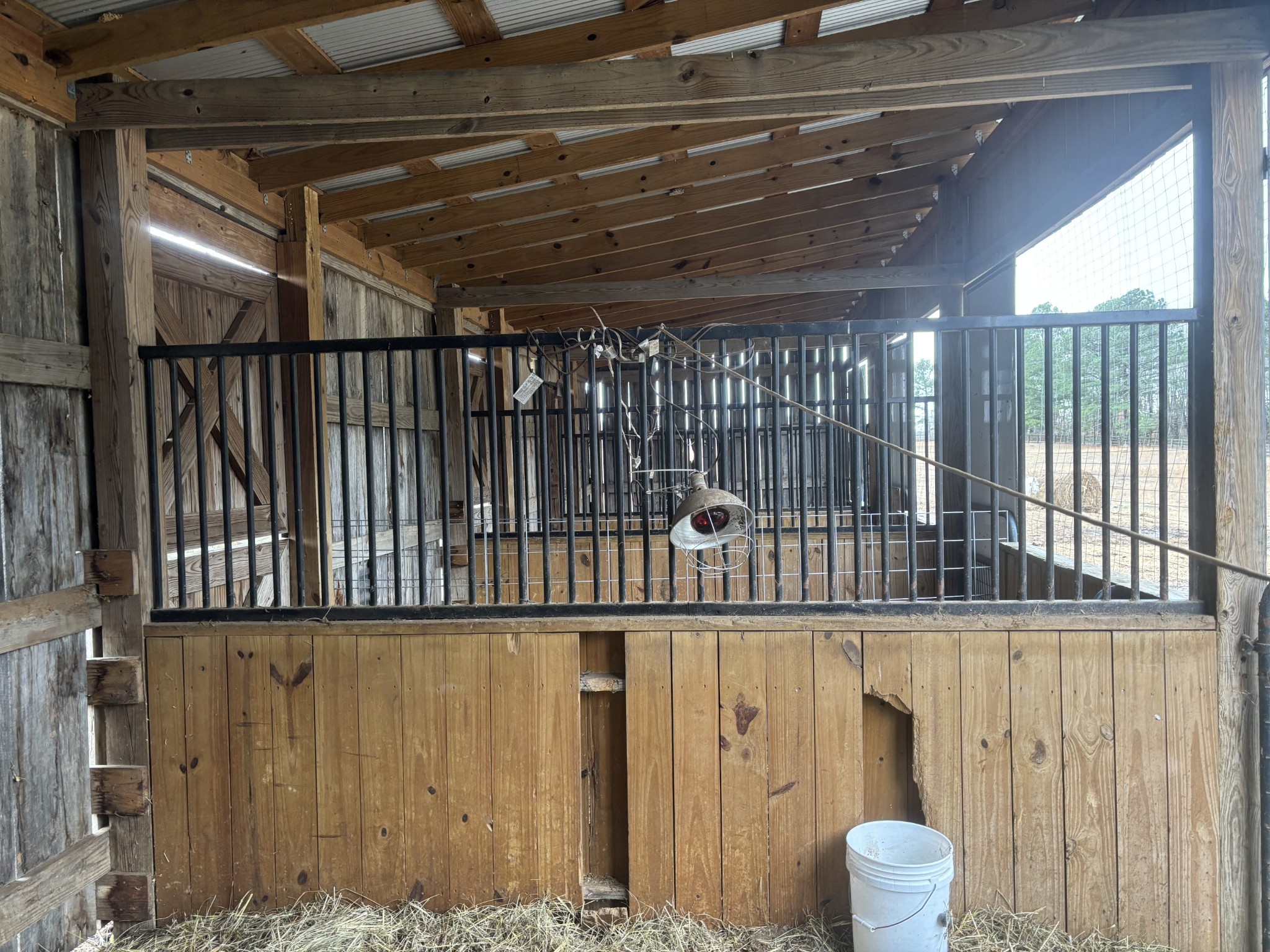 1221 Johnson Branch Road Pulaski, TN 38478 - Photo 82 of 99