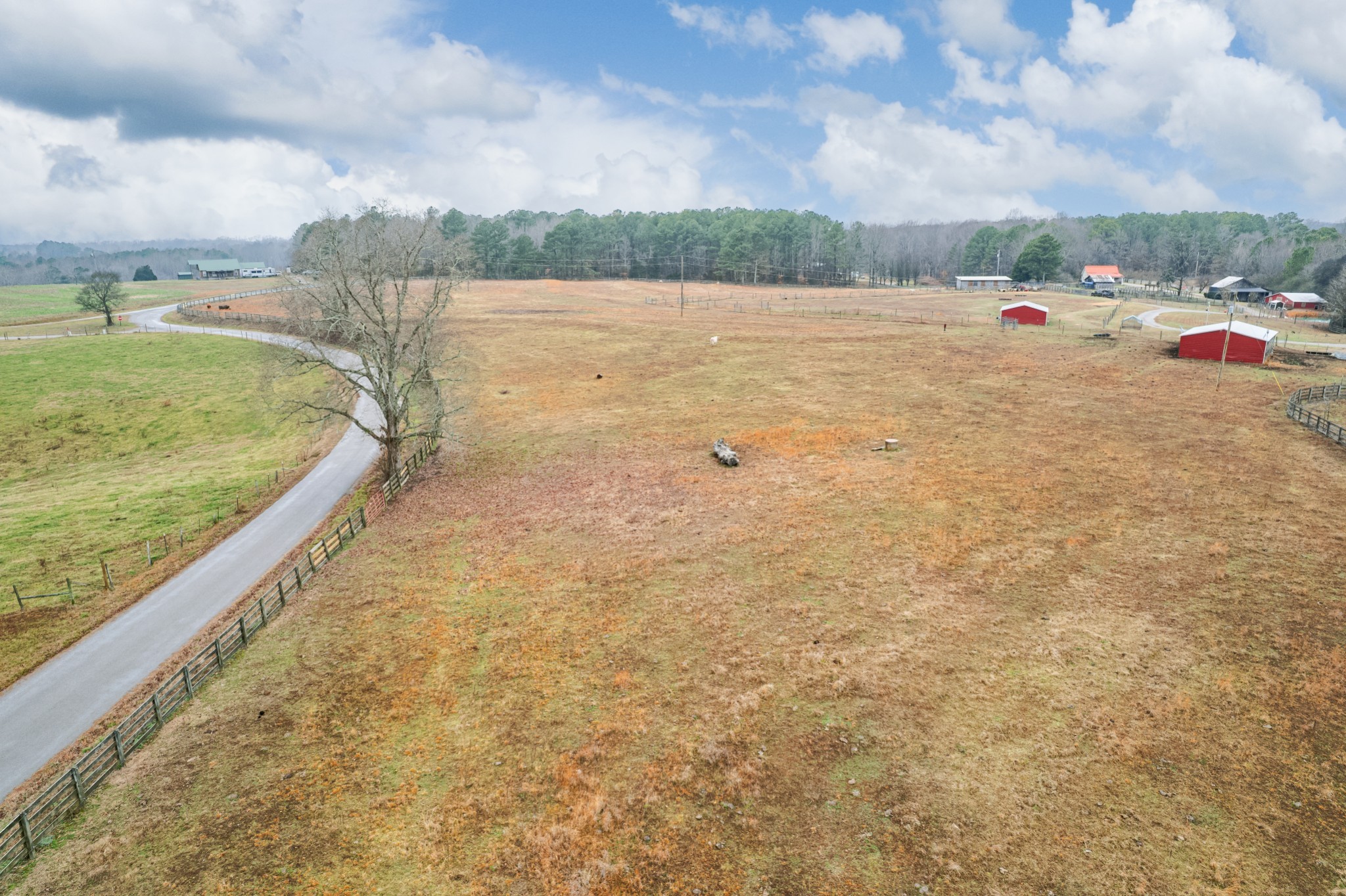 1221 Johnson Branch Road Pulaski, TN 38478 - Photo 84 of 99