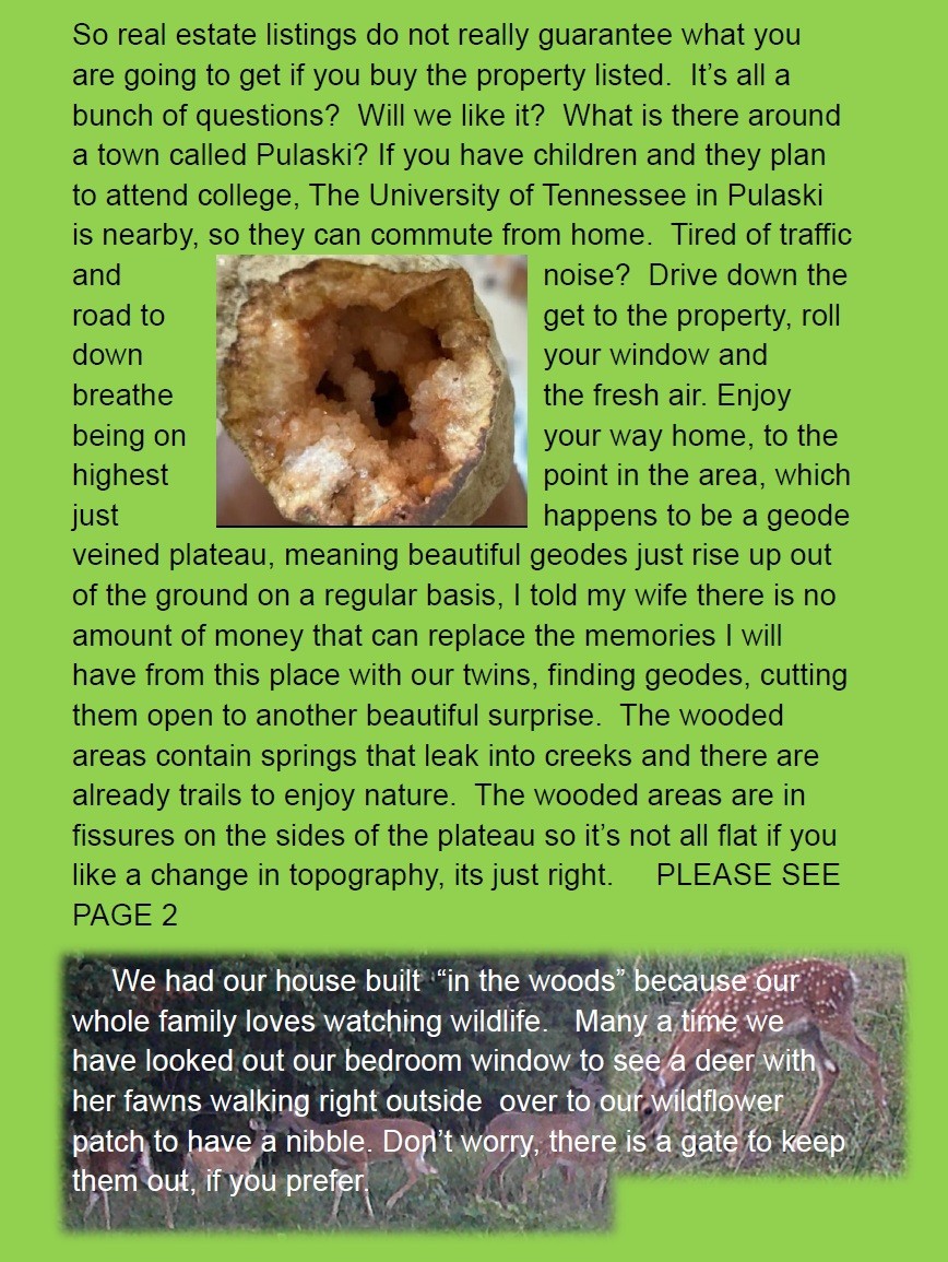 1221 Johnson Branch Road Pulaski, TN 38478 - Photo 98 of 99