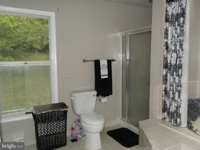 4622 Feldspar Road Middletown, MD 21769 - Photo 20 of 30 Bath (Master)