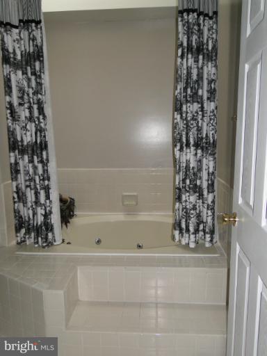 4622 Feldspar Road Middletown, MD 21769 - Photo 9 of 30 Bath (Master)