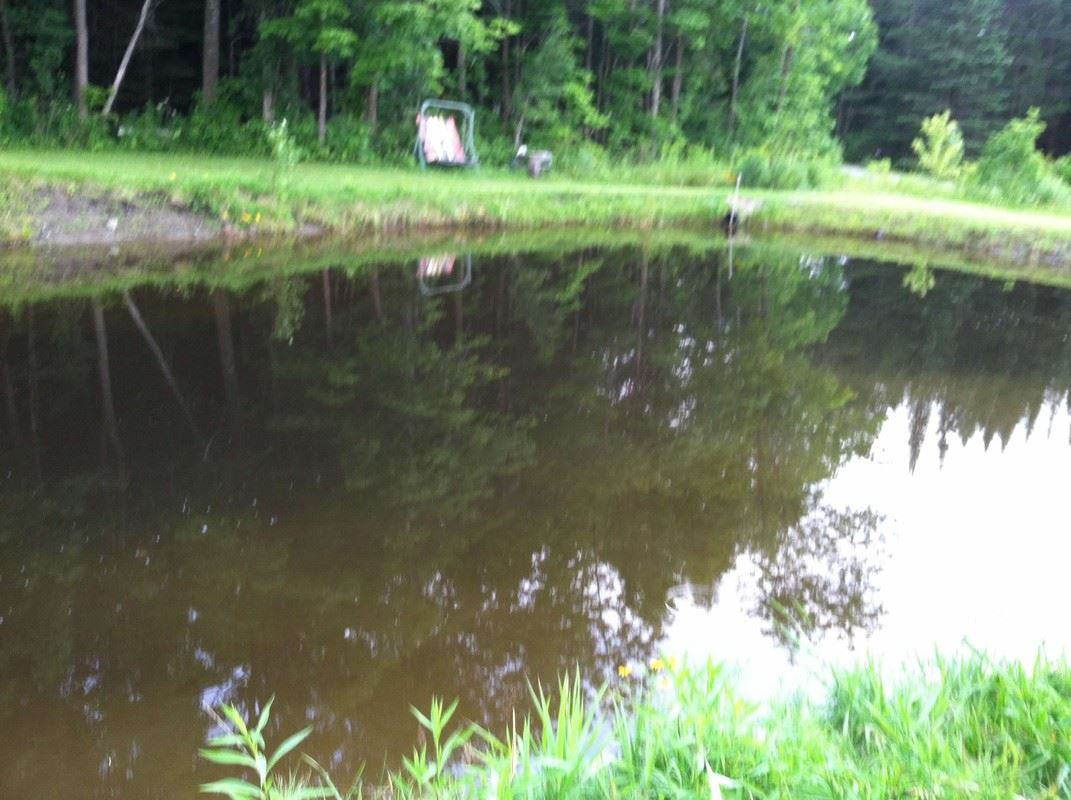 1620 Old Coach Road Lyndon, VT 05851 - Photo 23 of 39 Gallery Image 23