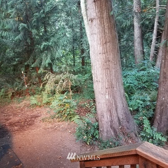 4675 Center Road Chimacum, WA 98325 - Photo 19 of 24