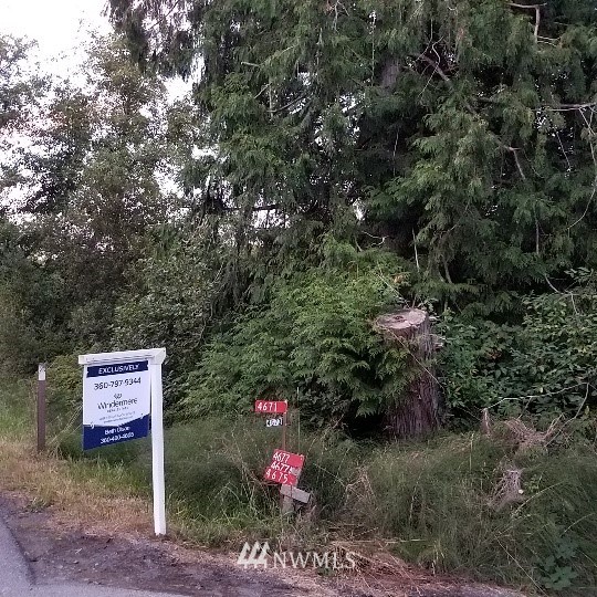 4675 Center Road Chimacum, WA 98325 - Photo 20 of 24