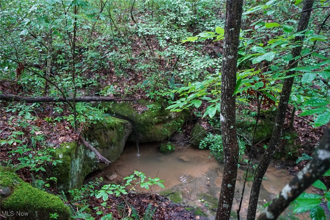 View of undeveloped land