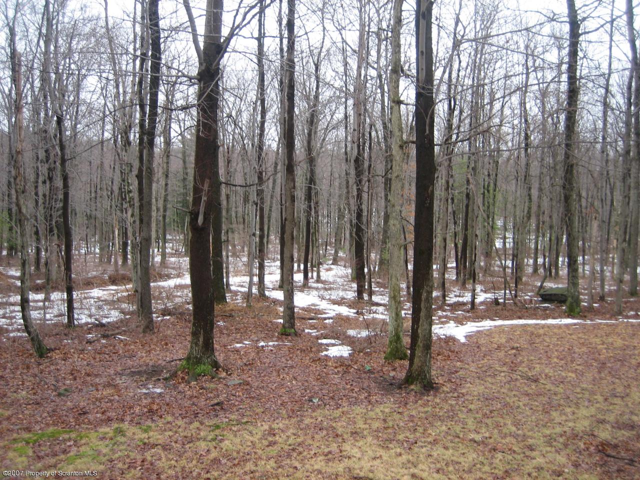 Skytop Ranch Road Hawley, PA 18428 - Photo 8 of 9 Gallery Image 8