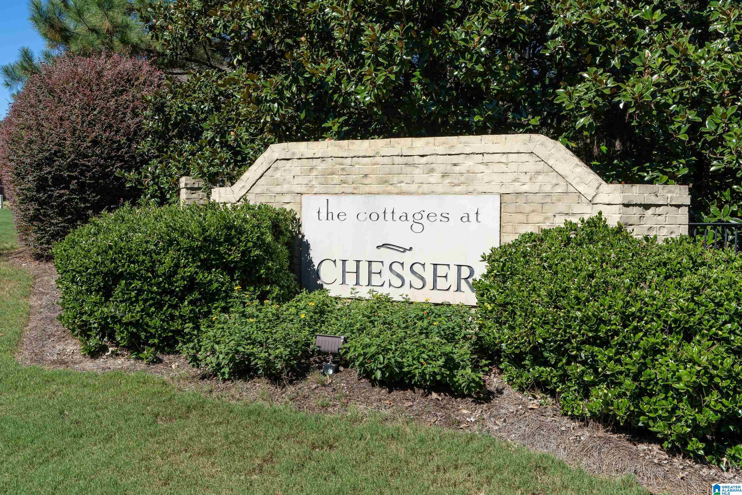 318 Chesser Loop Circle Chelsea, AL 35043 - Photo 32 of 33