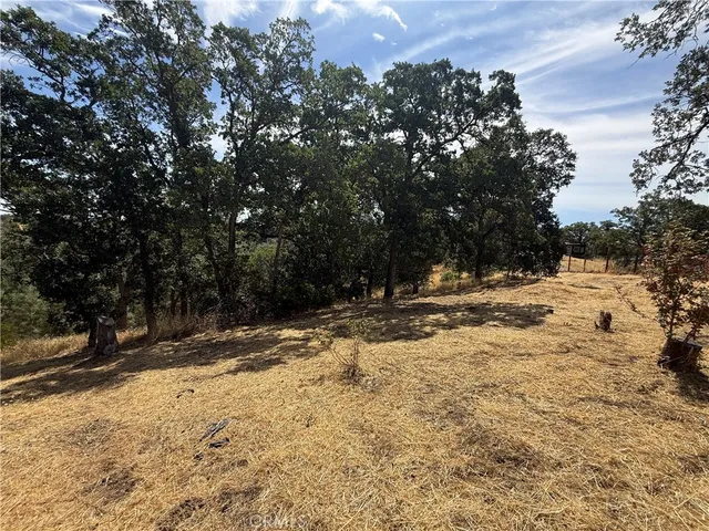 $23,500 | 16318 Longhorn Lane, Corning, CA 96021