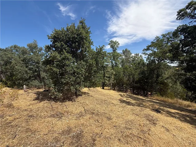 $23,500 | 16318 Longhorn Lane, Corning, CA 96021
