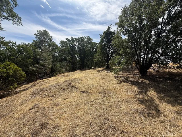 $23,500 | 16318 Longhorn Lane, Corning, CA 96021