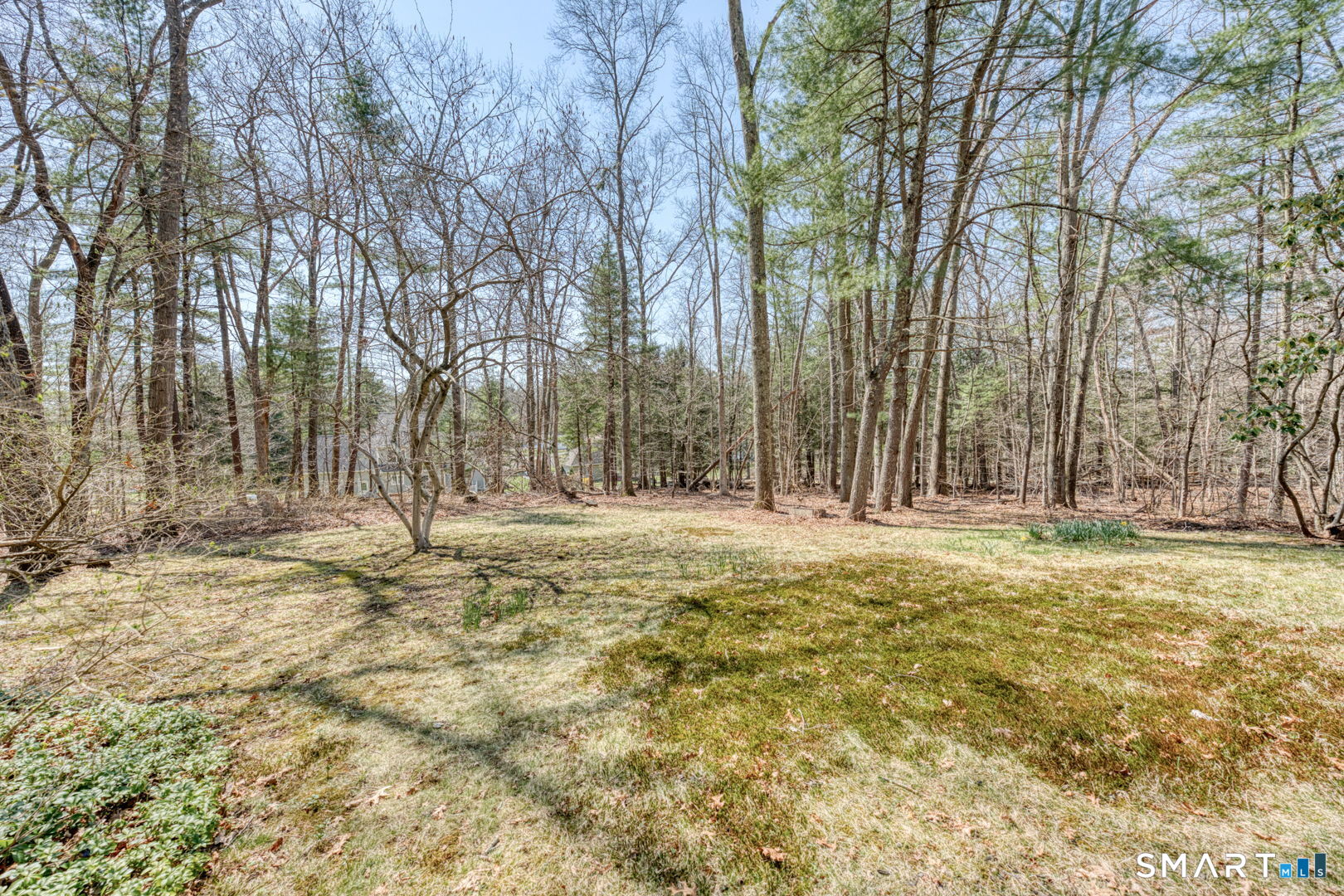 18 Beech Mountain Road Mansfield, CT 06250 - Photo 40 of 40