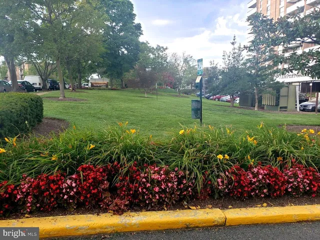a view of a garden with flowers and trees
