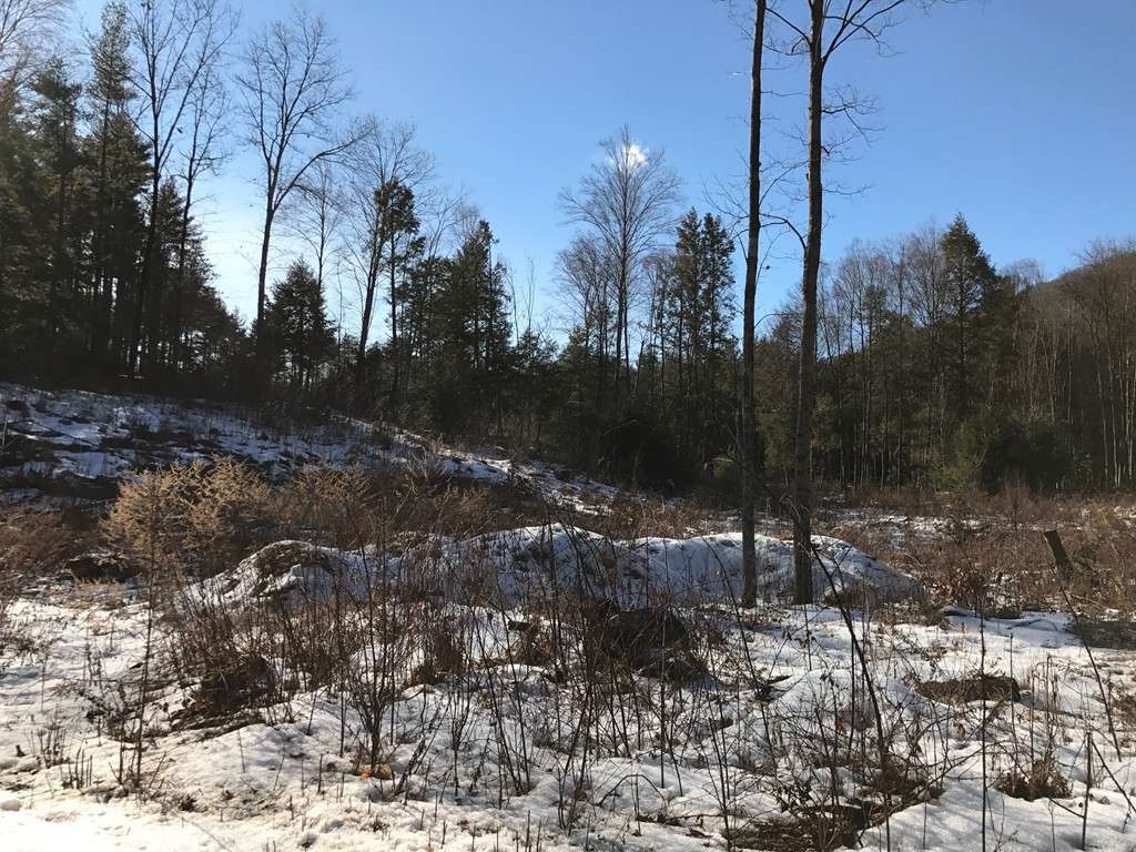 334 Long Plain Road Leverett, MA 01054 - Photo 2 of 3