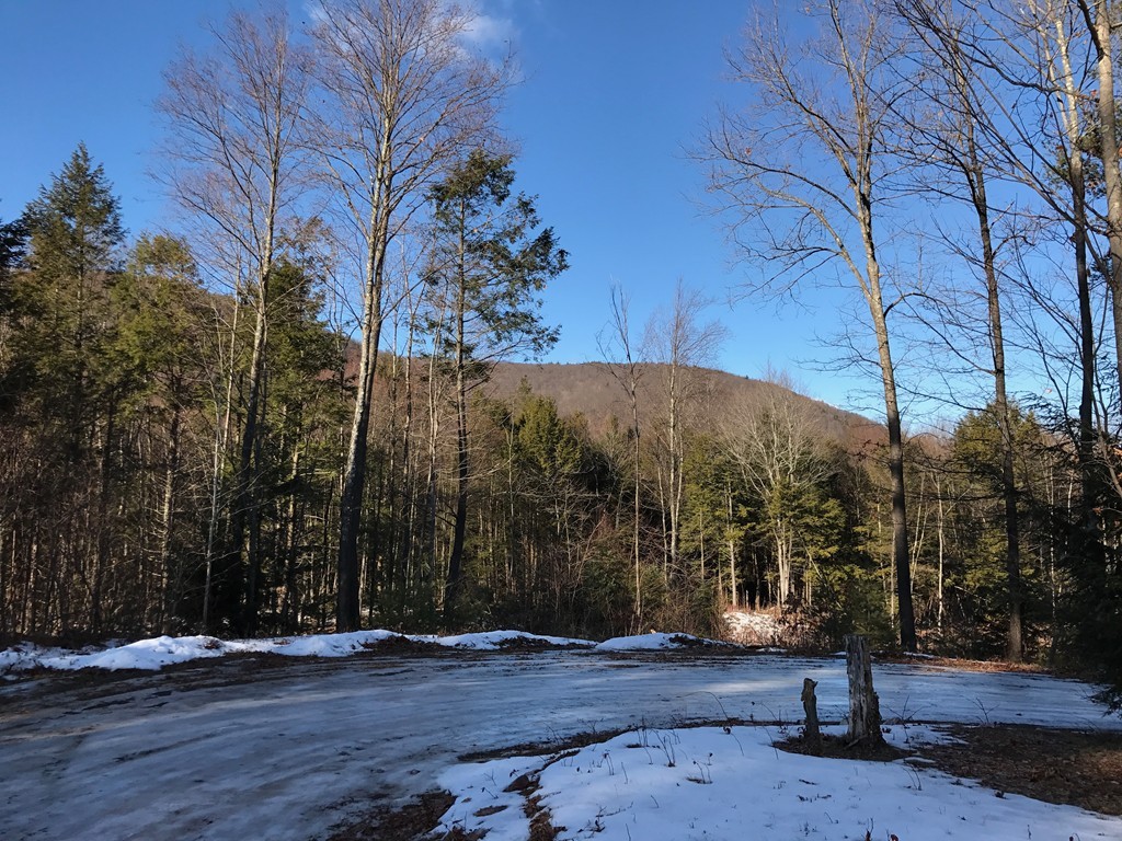 334 Long Plain Road Leverett, MA 01054 - Photo 3 of 3
