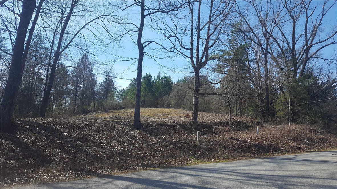 132 Sweetwater View Road, Unit 42 LOT ACREAGE Seneca, SC 29672 - Photo 1 of 9 Gallery Image 1